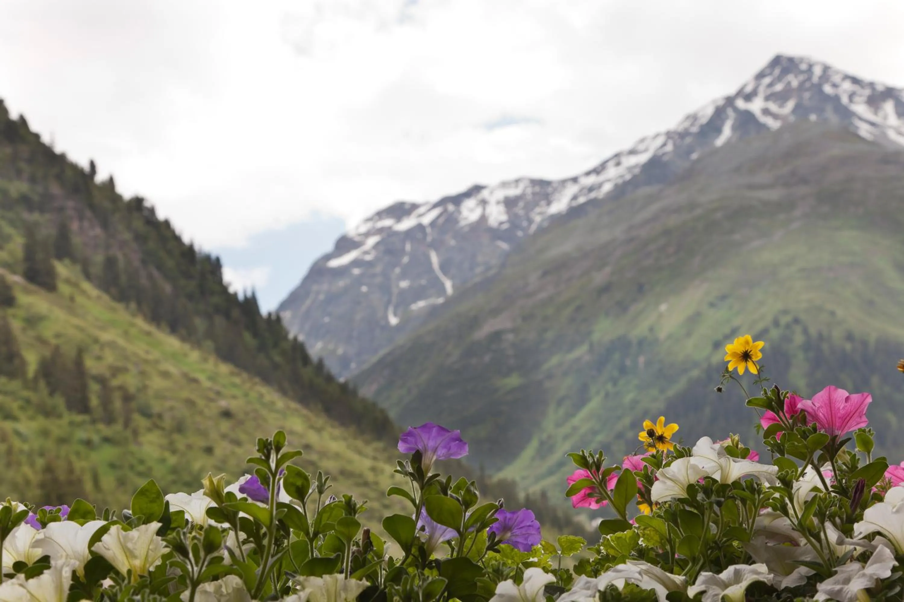 Mountain view in Hotel Garni Rifflsee