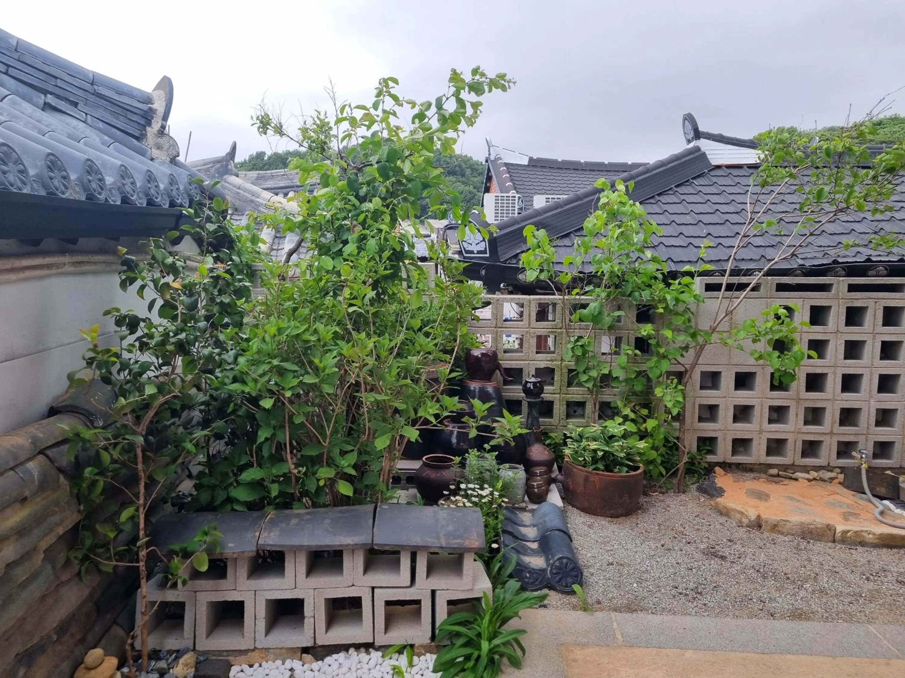 Property building in Sarangroo