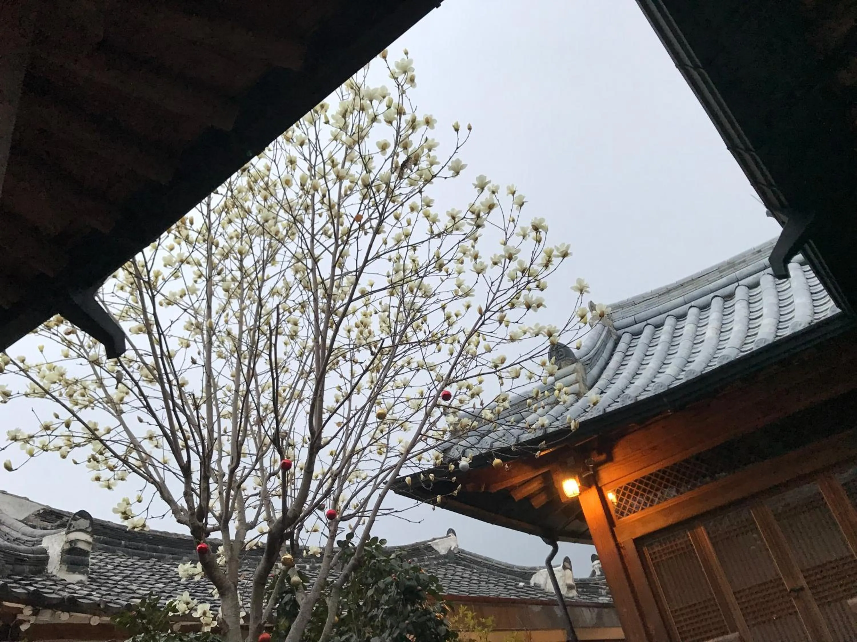 Property building in Sarangroo