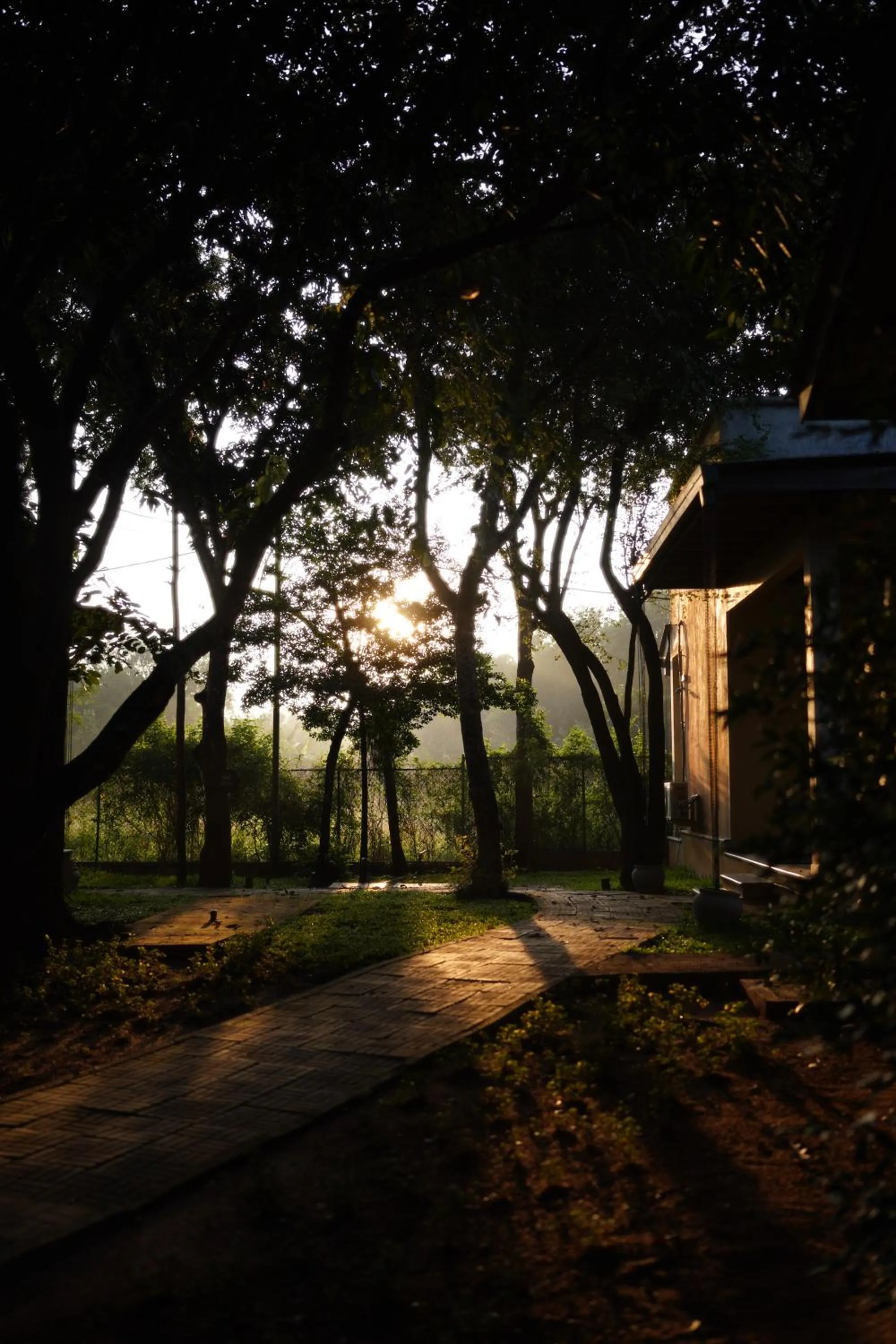 Sigiri Asna Nature Resort