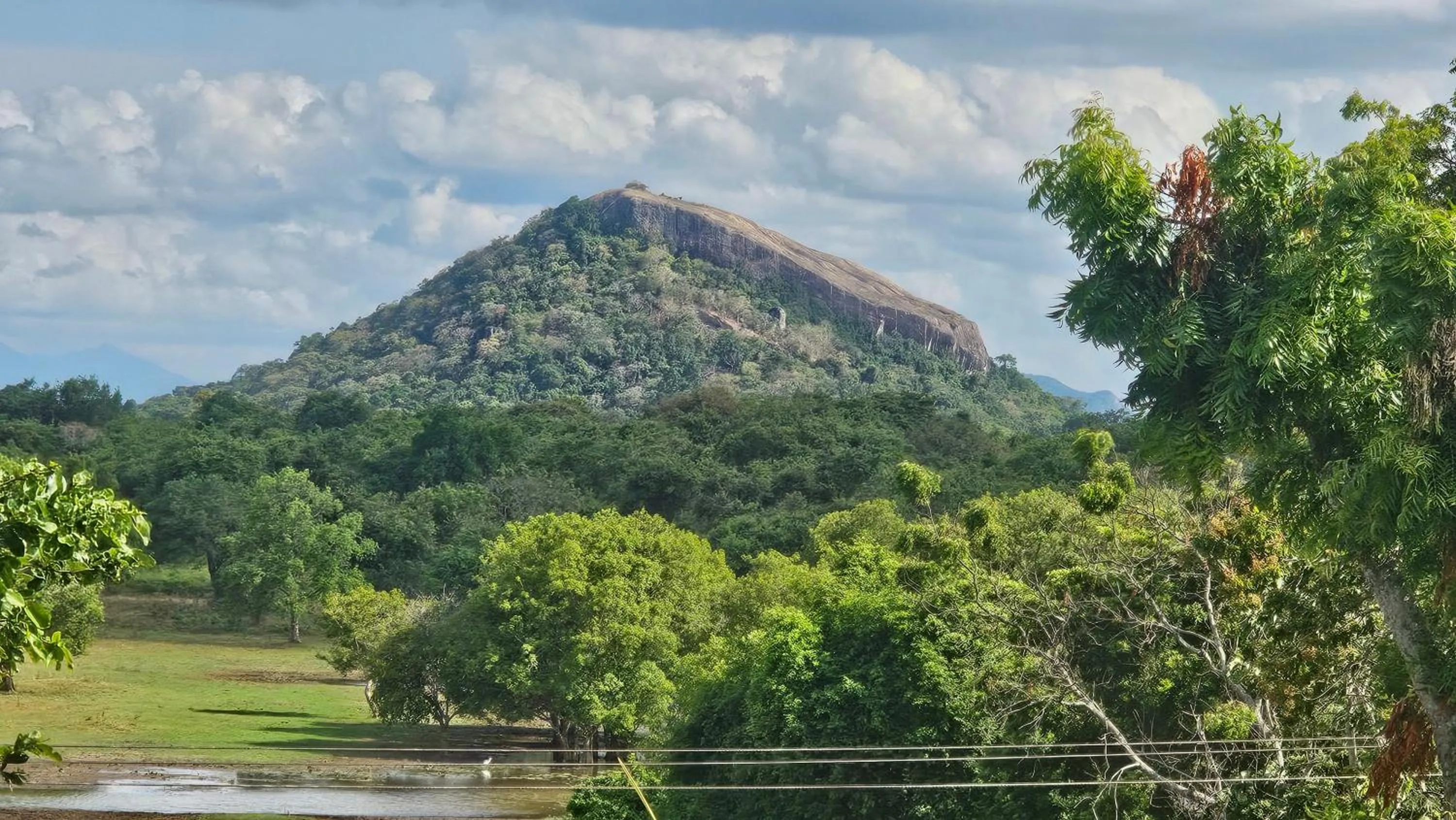 Spring in Amelia Resort