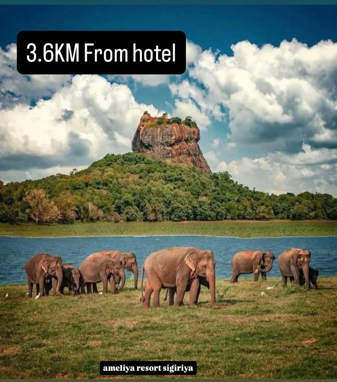 Nearby landmark in Amelia Resort