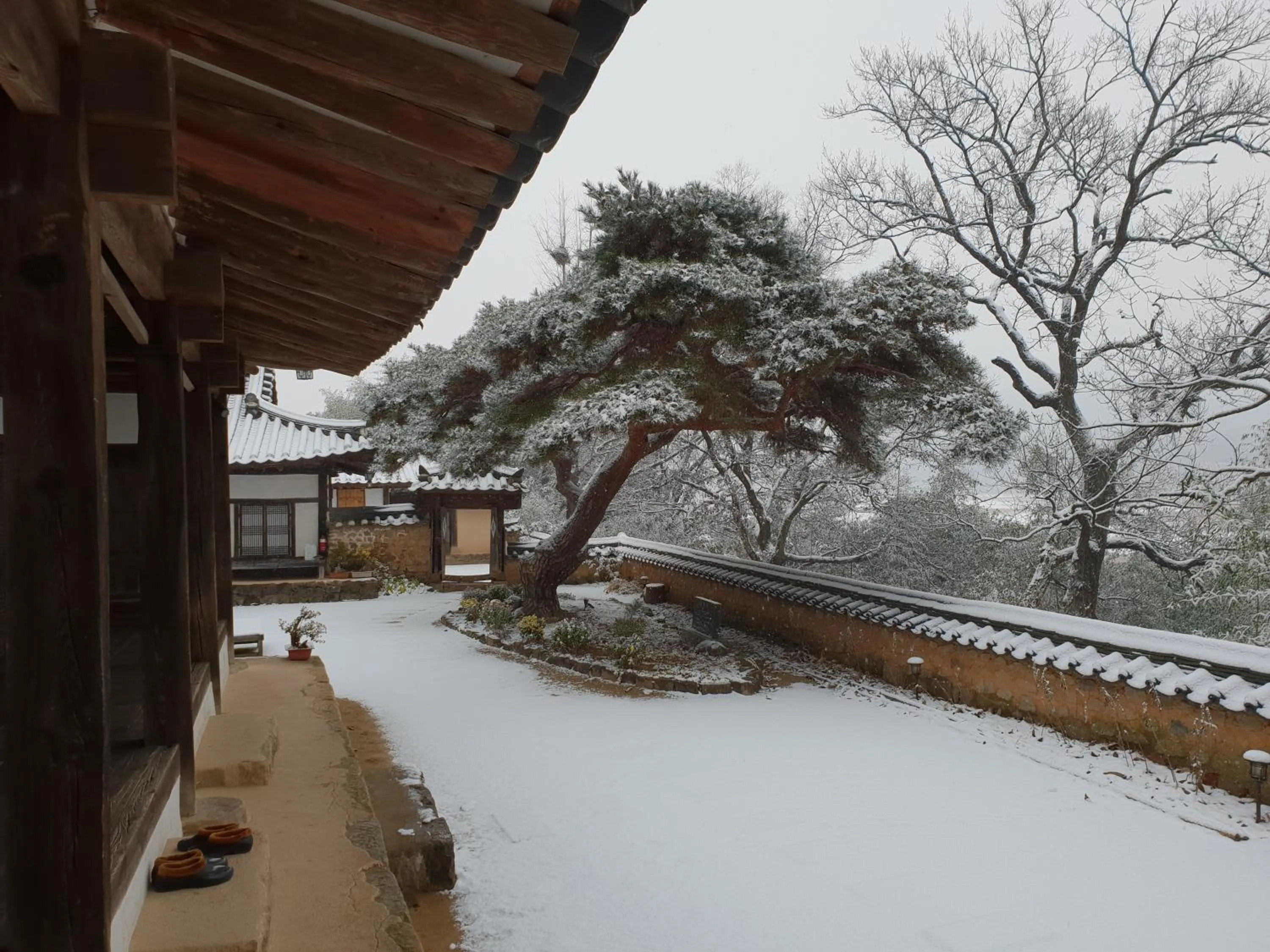 Winter in Okyeon Jeongsa