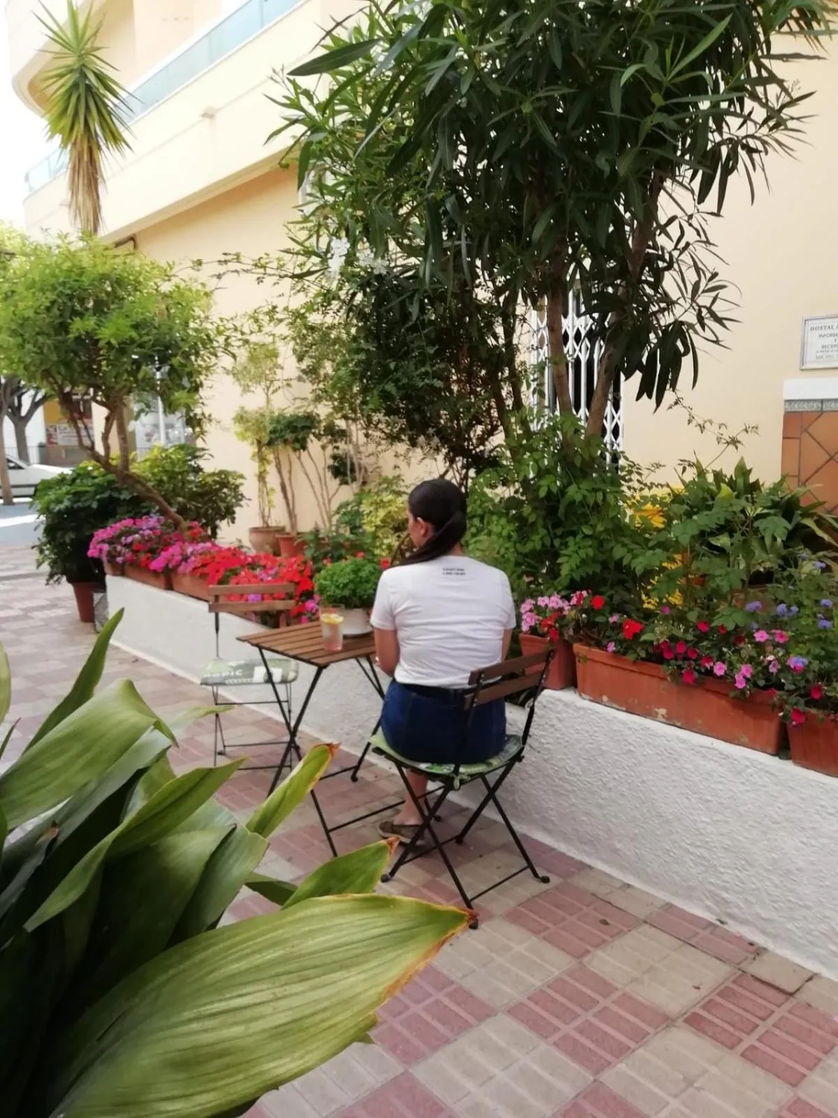 Patio in Hotel Avenida 31