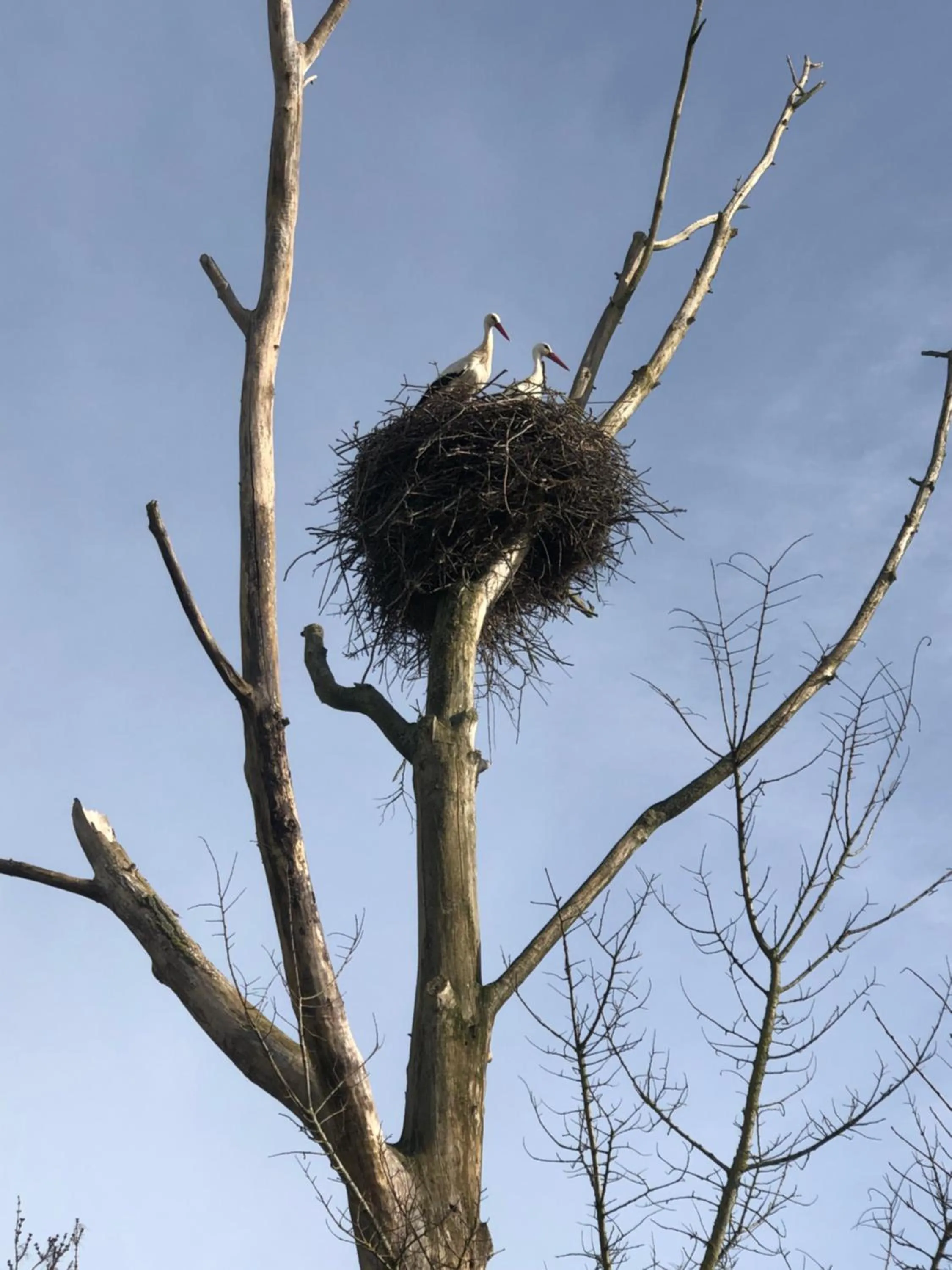 Natural landscape in Le Clos du Square - climatisé