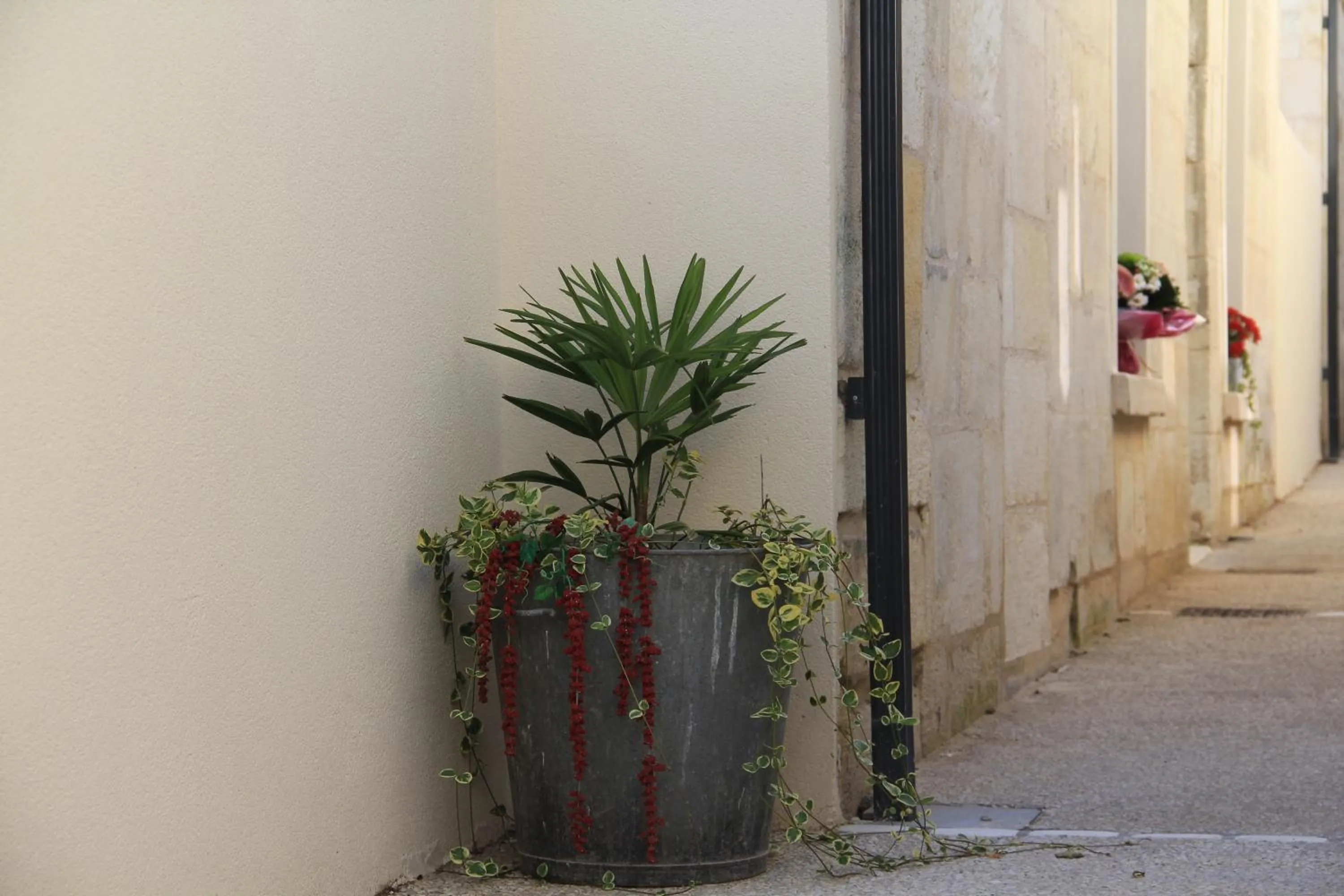 Property building in Le Clos du Square - climatisé