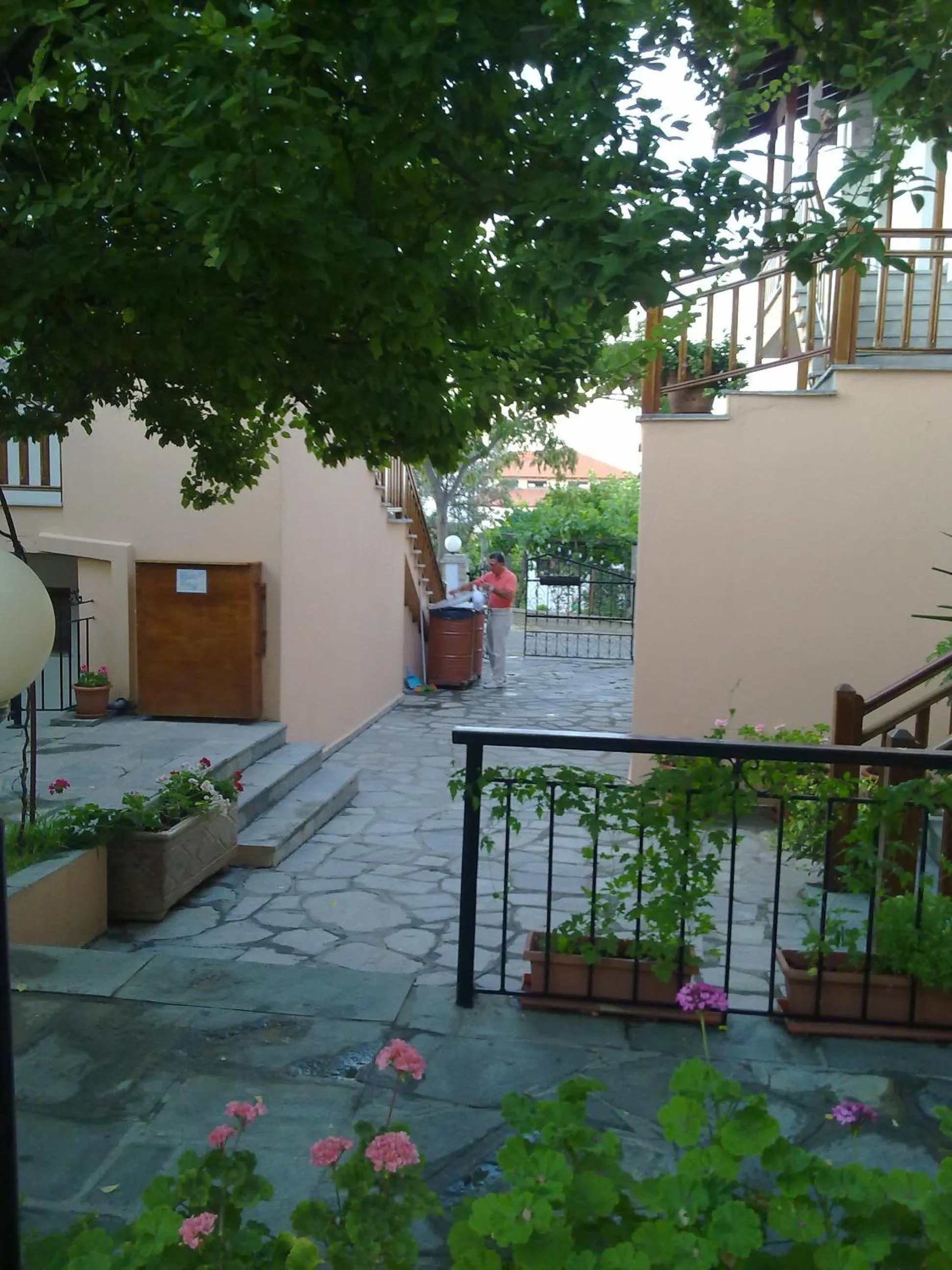 Garden in Hotel Alexandra