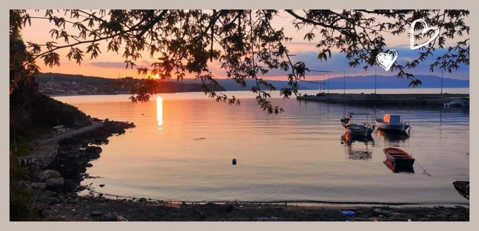Beach in Hotel Alexandra