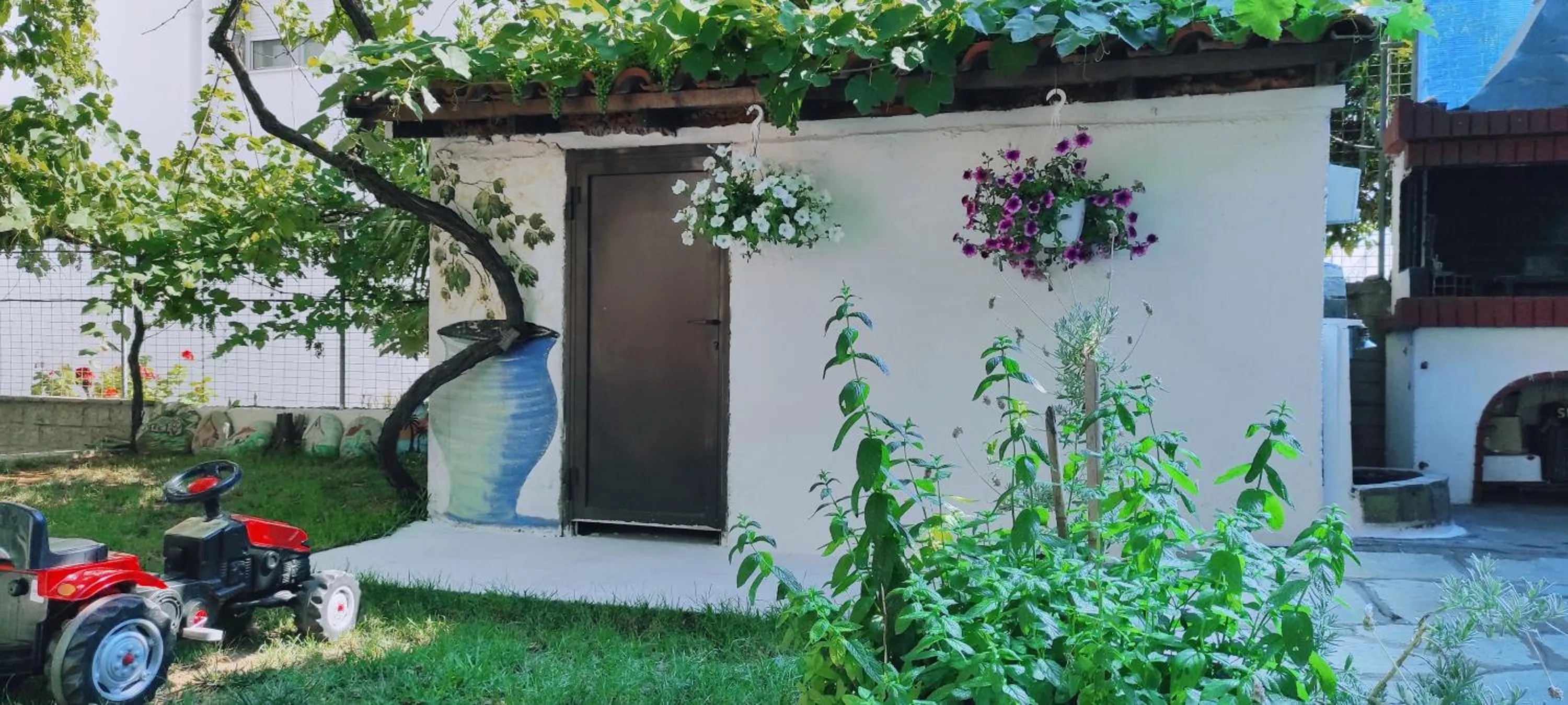 Garden in Hotel Alexandra