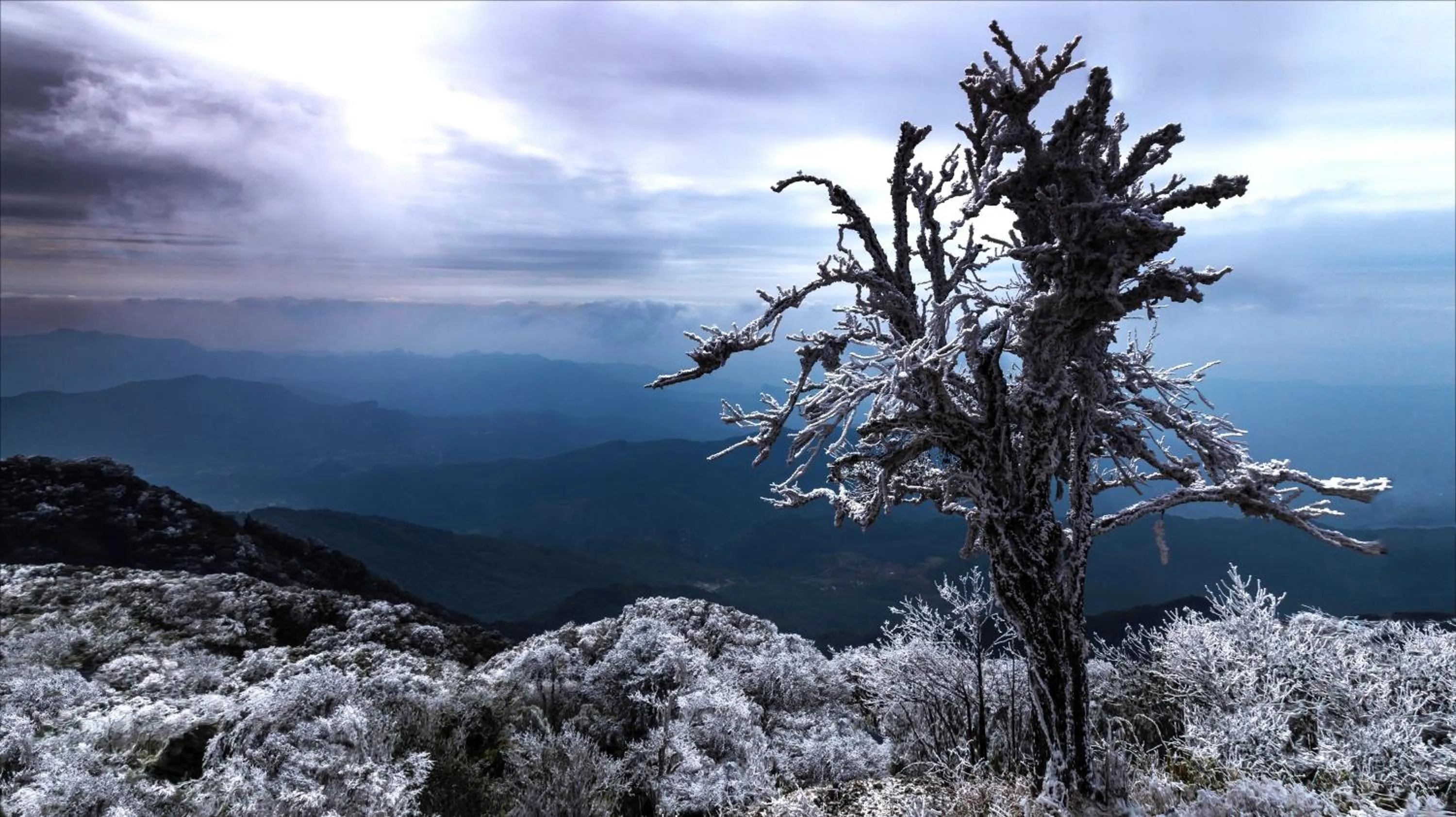 Minh Hoang Hotel & Homestay