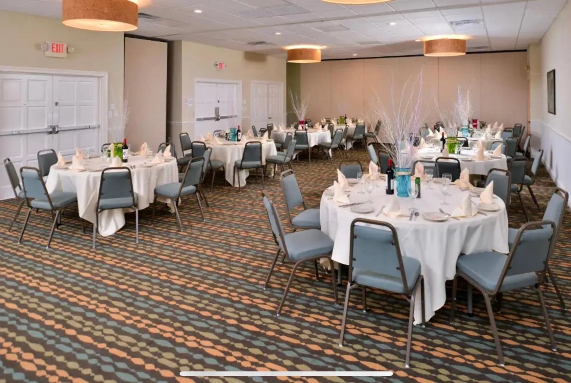Banquet/Function facilities in Red Roof Inn PLUS & Suites Tampa