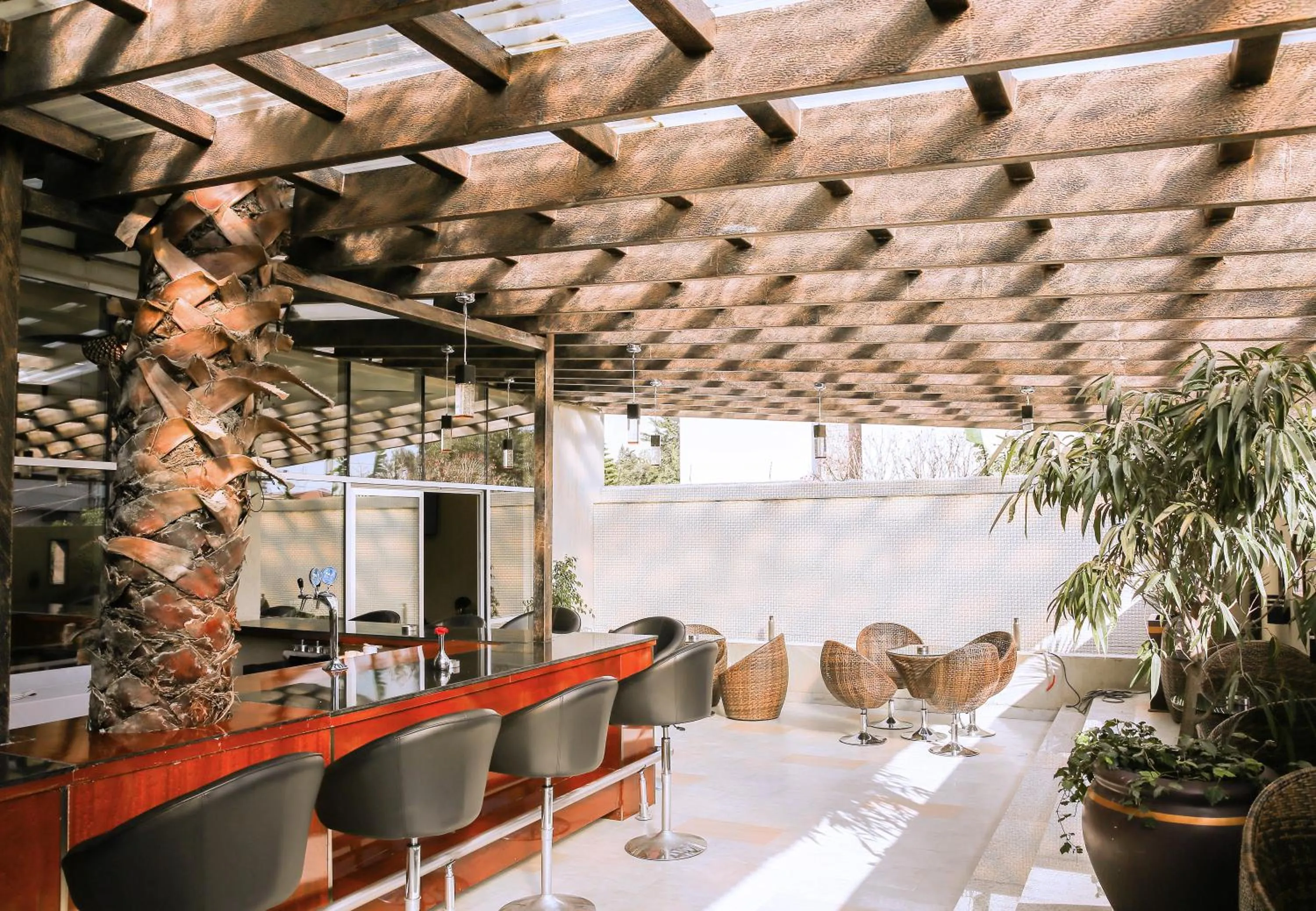 Lounge or bar in Magnolia Hotel & Conference Center