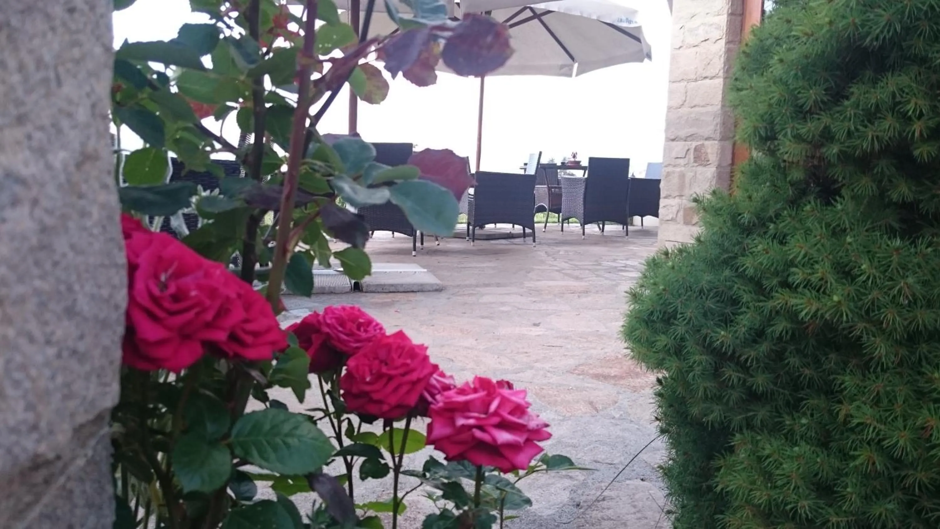 Patio in Family Hotel Eterno