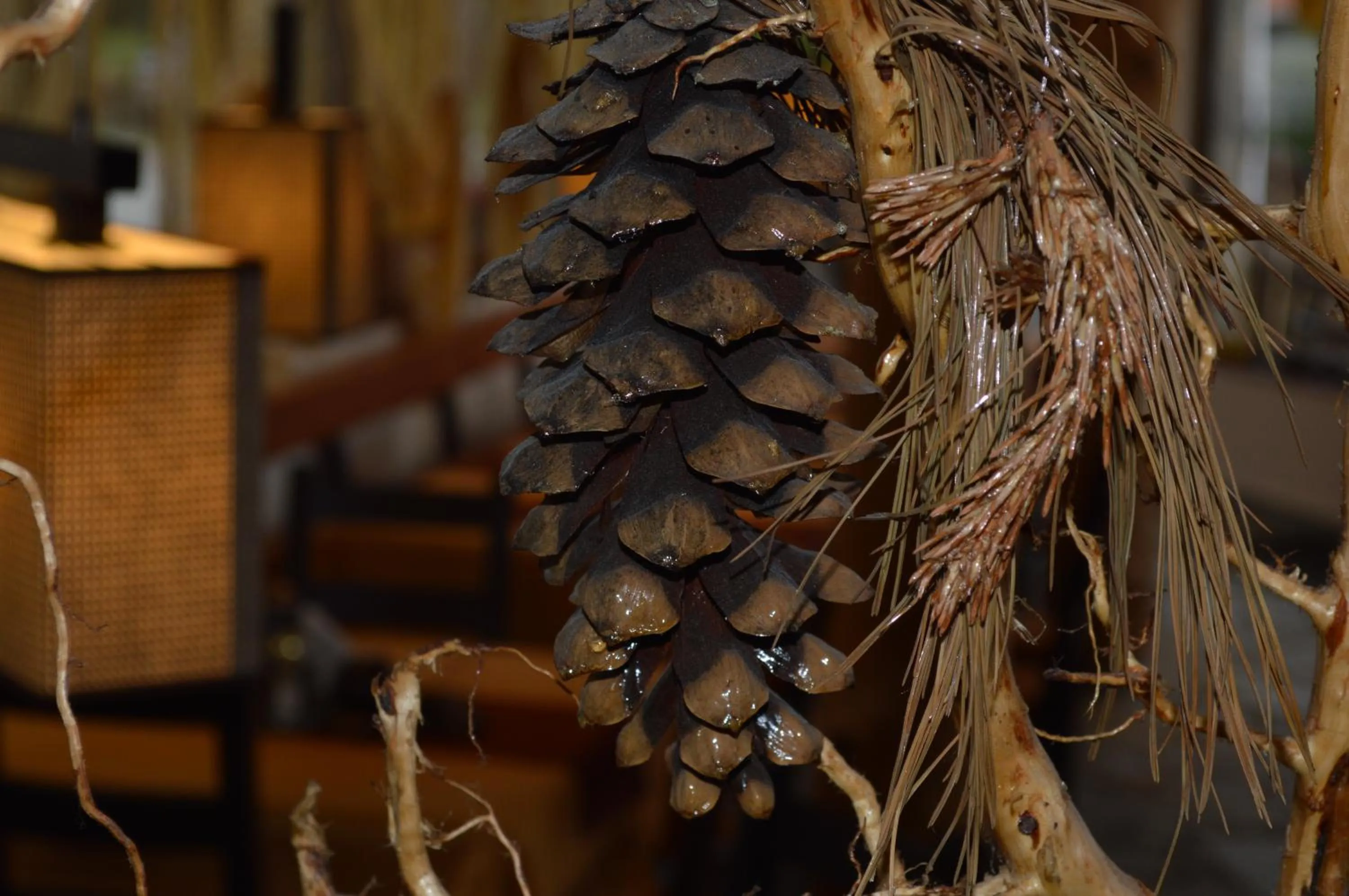 Other in Family Hotel Eterno