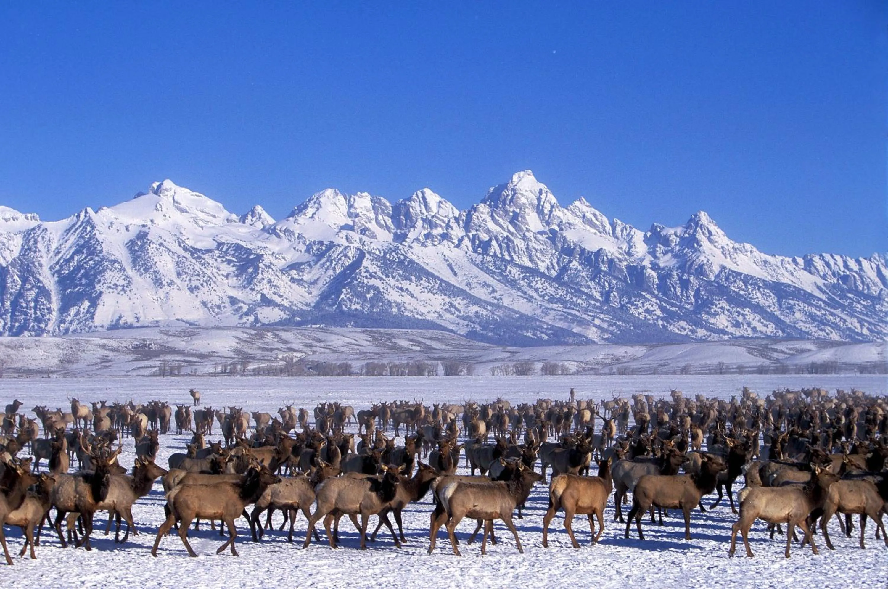 Off site in The Rusty Parrot Lodge and Spa