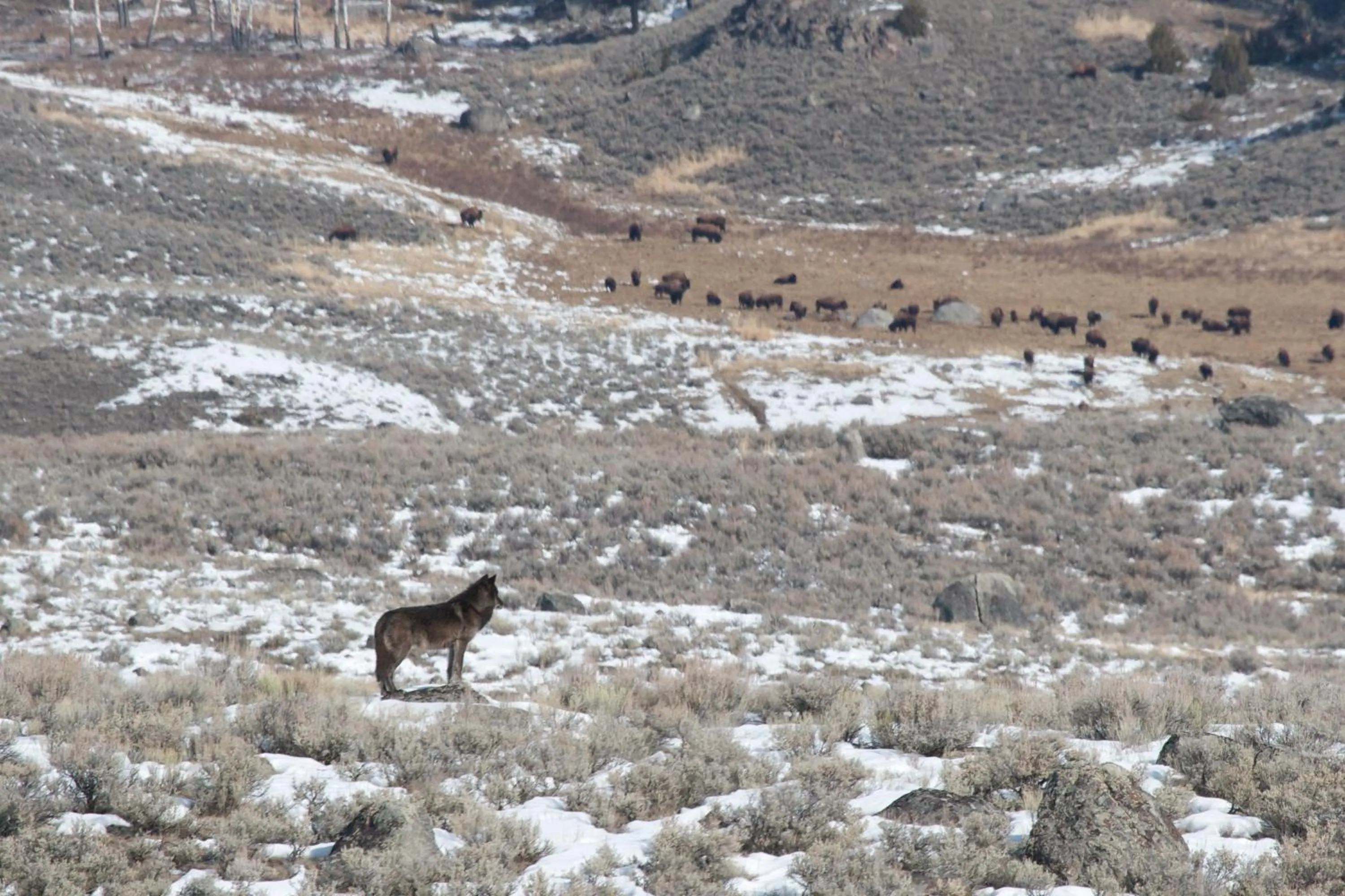 Off site in The Rusty Parrot Lodge and Spa