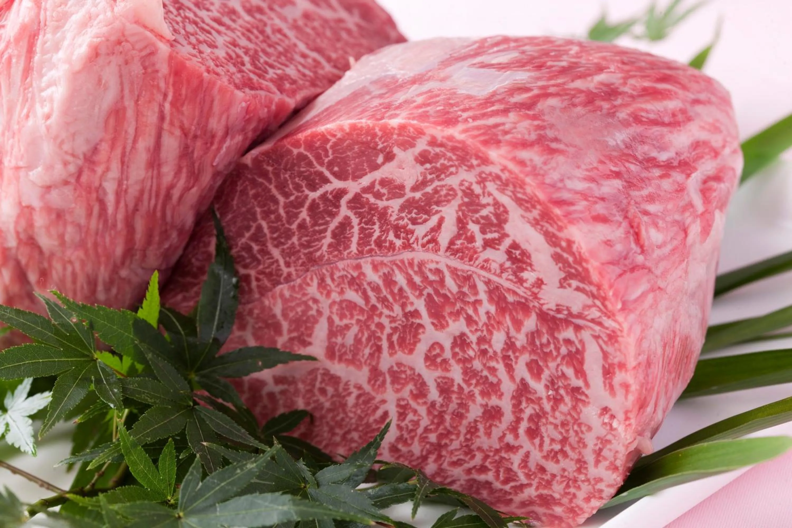 Food in Pension Kinrinko Toyonokuni