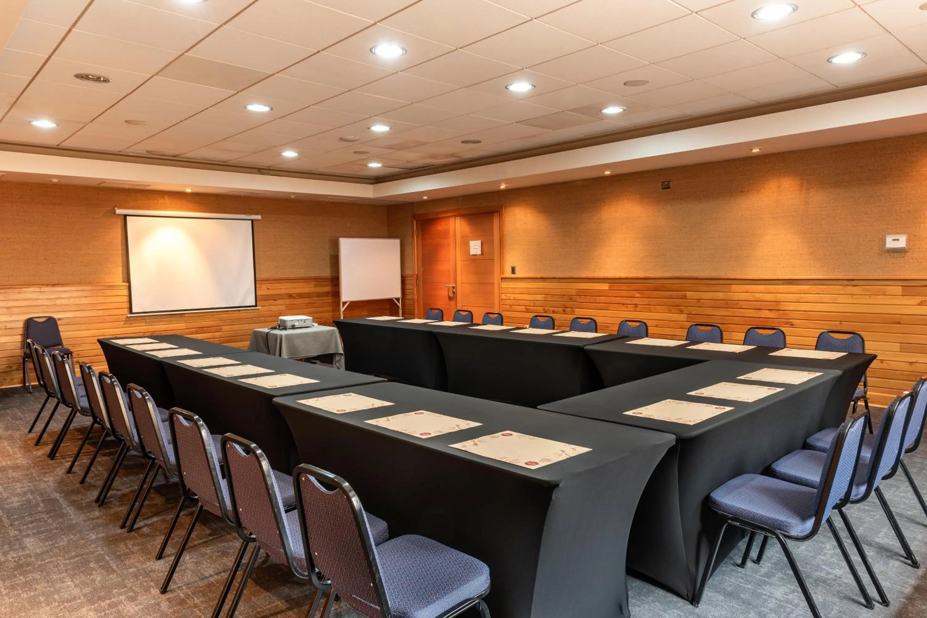 Meeting/conference room in Hotel Puelche