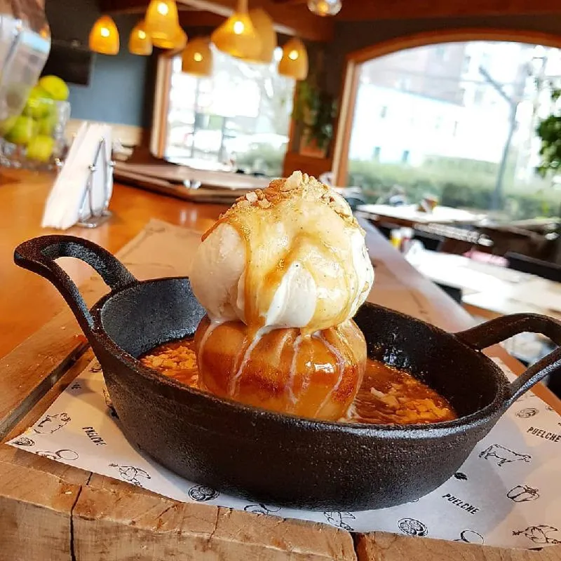 Restaurant/places to eat in Hotel Puelche