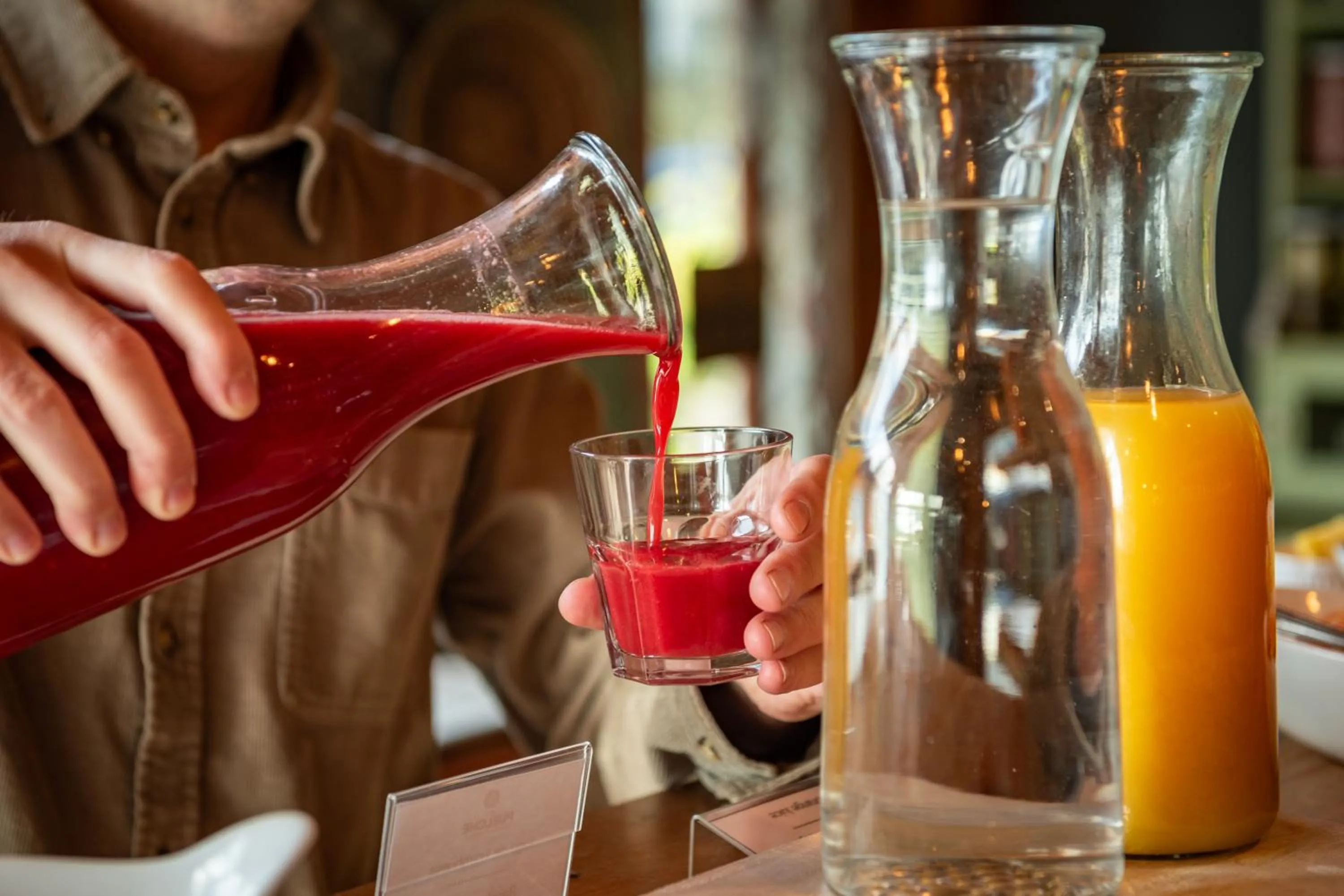 Restaurant/places to eat in Hotel Puelche