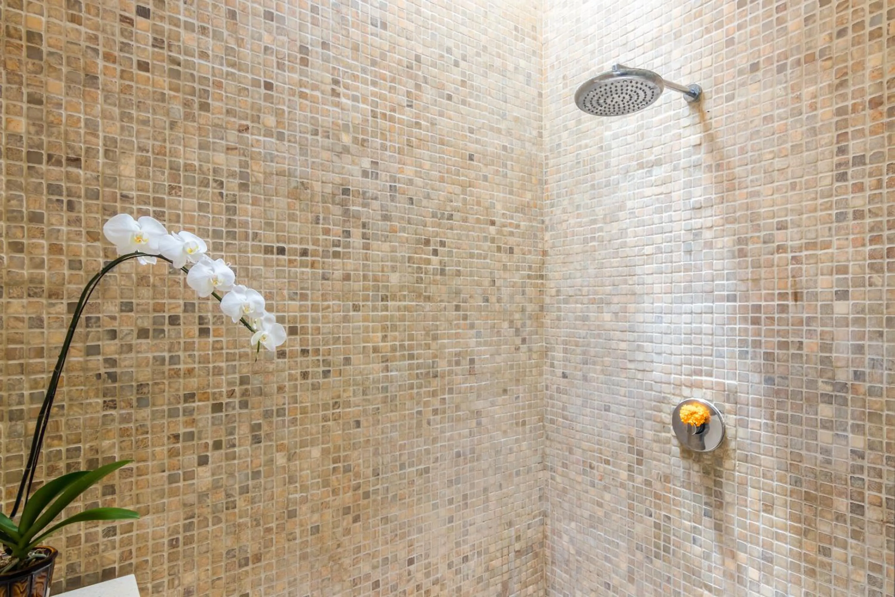Shower in Villa Safari