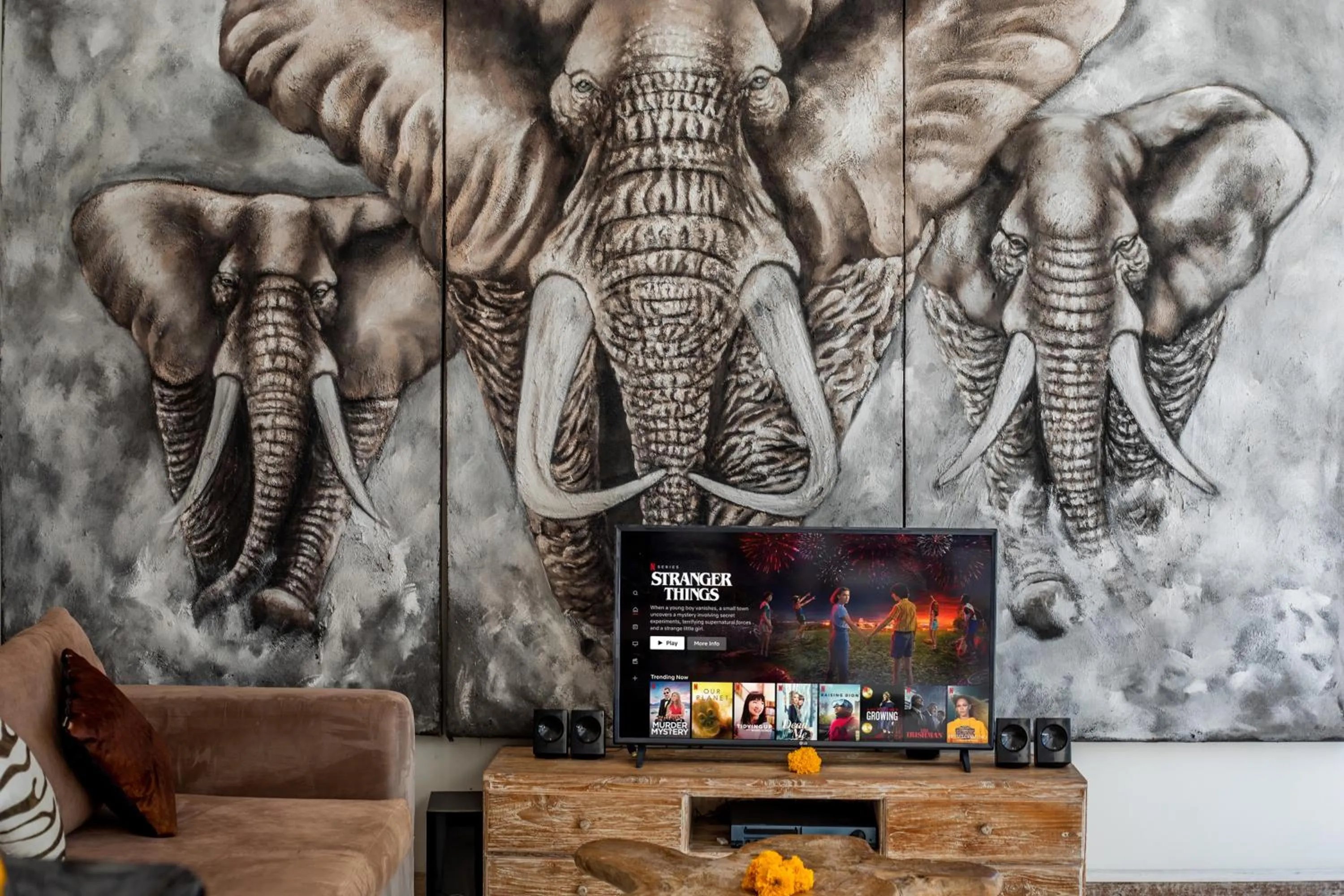 TV and multimedia in Villa Safari