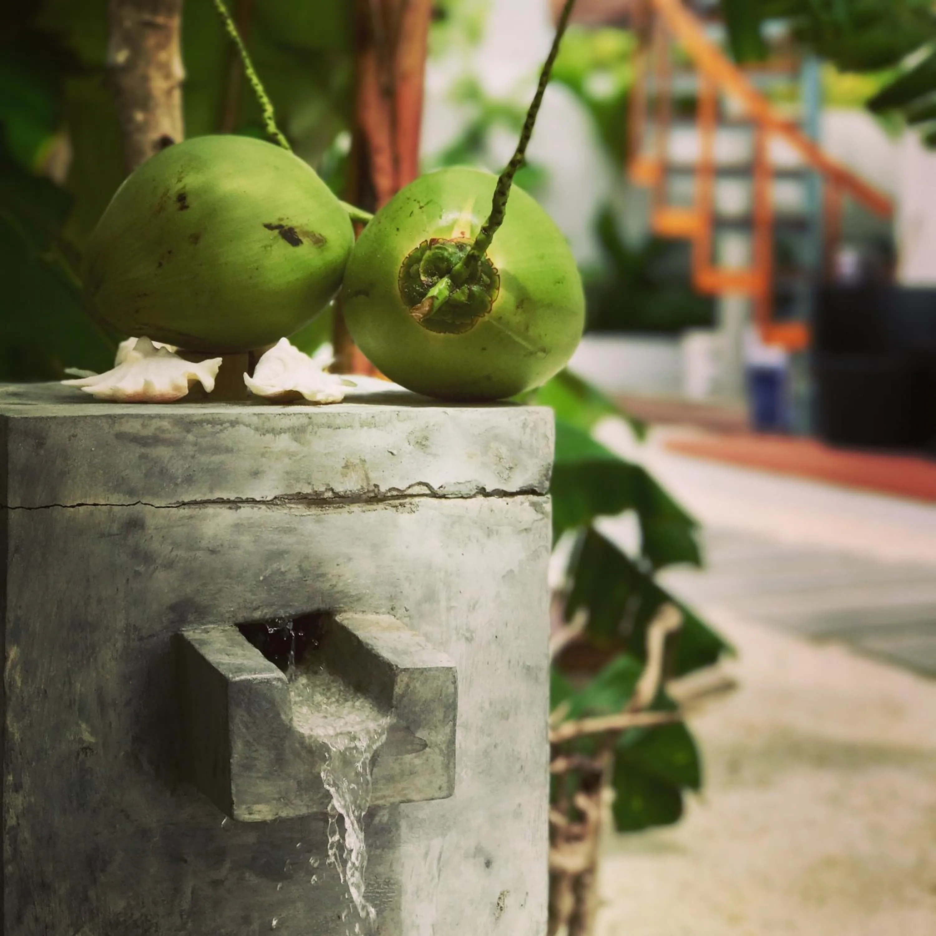 Balcony/Terrace in Veli Vilaa