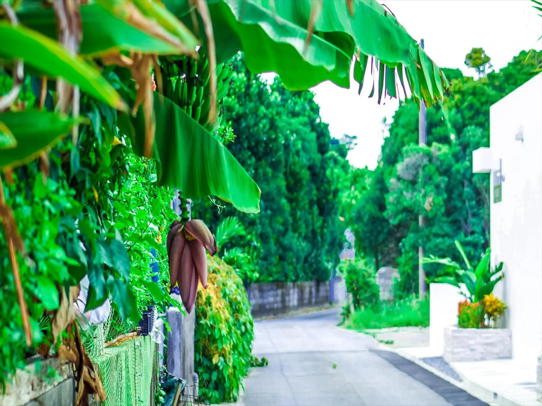 Off site in Ahman Suite Villa Sumuide