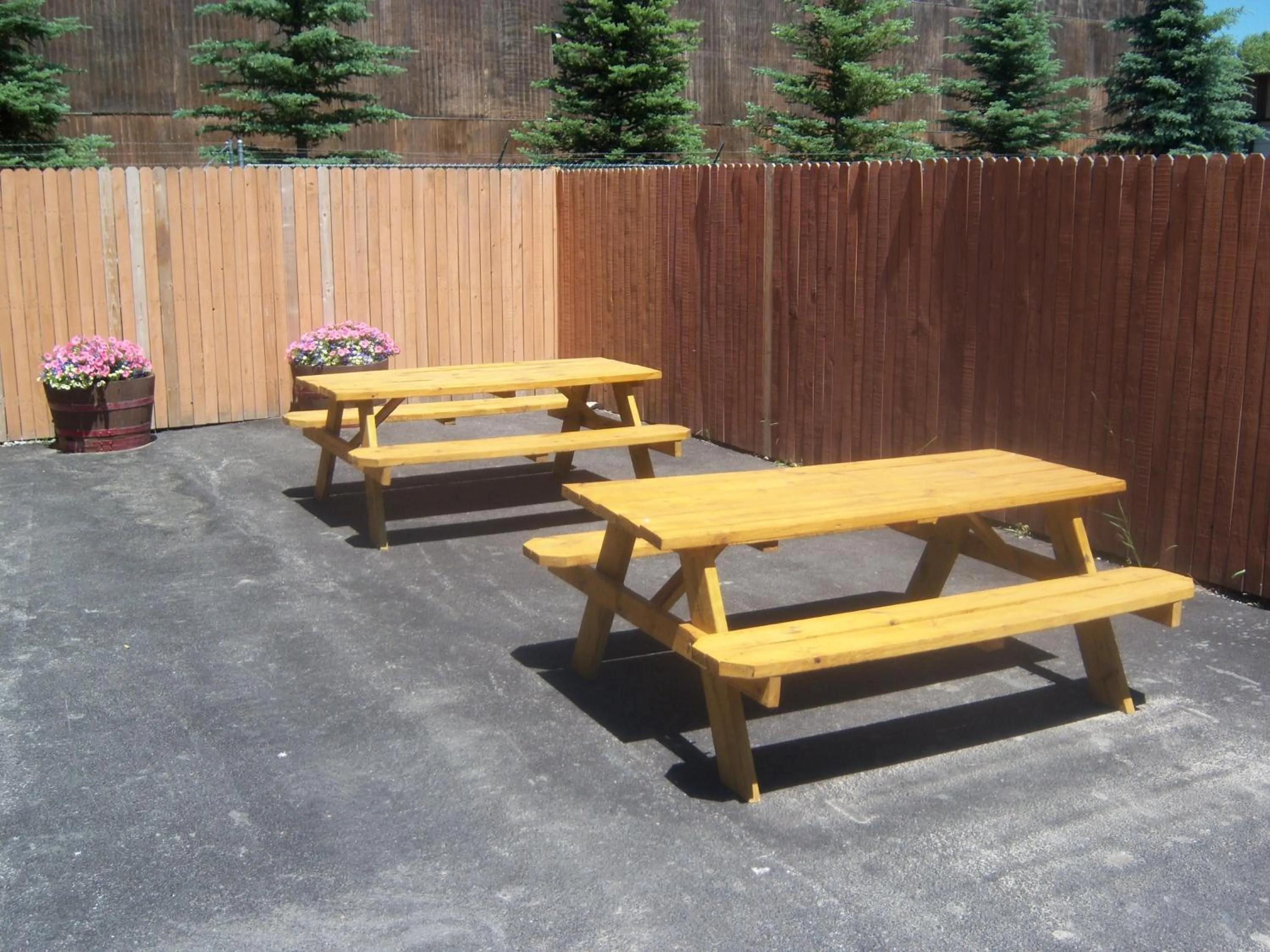 Area and facilities in Super 8 by Wyndham Jackson Hole