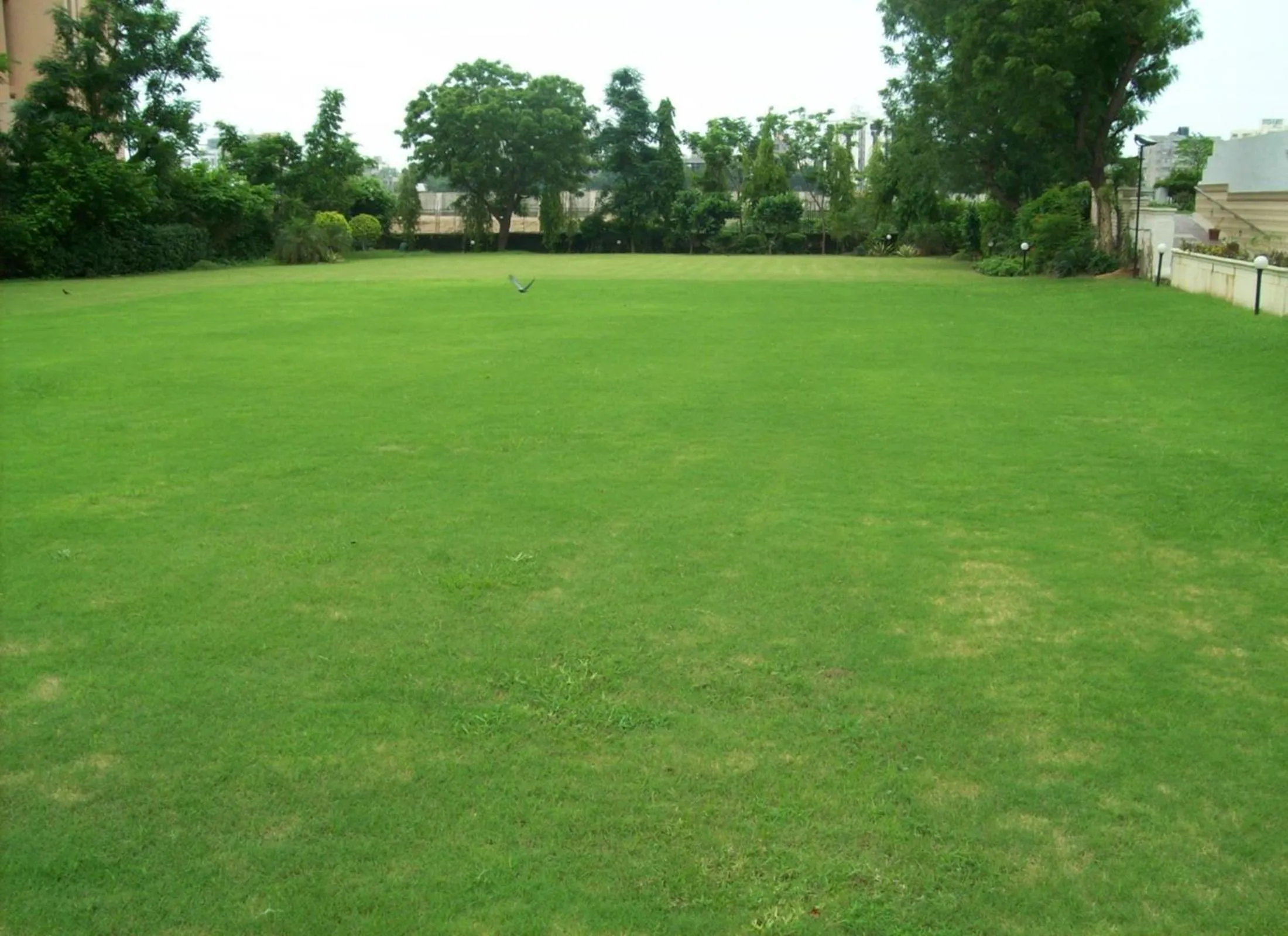 Day in Sarovar Portico Rivera Ahmedabad