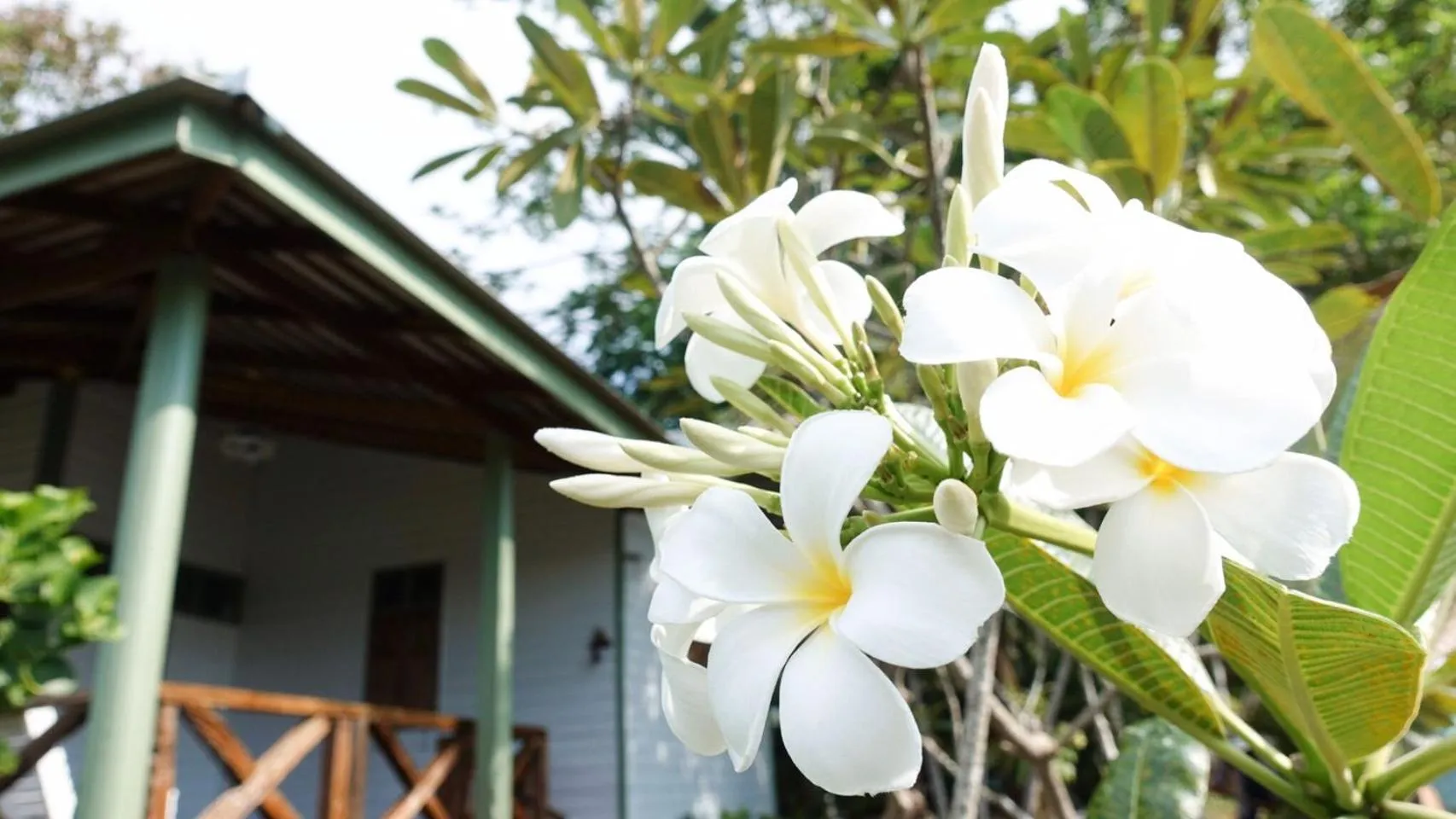 Pool view in Baan Imm Sook Resort