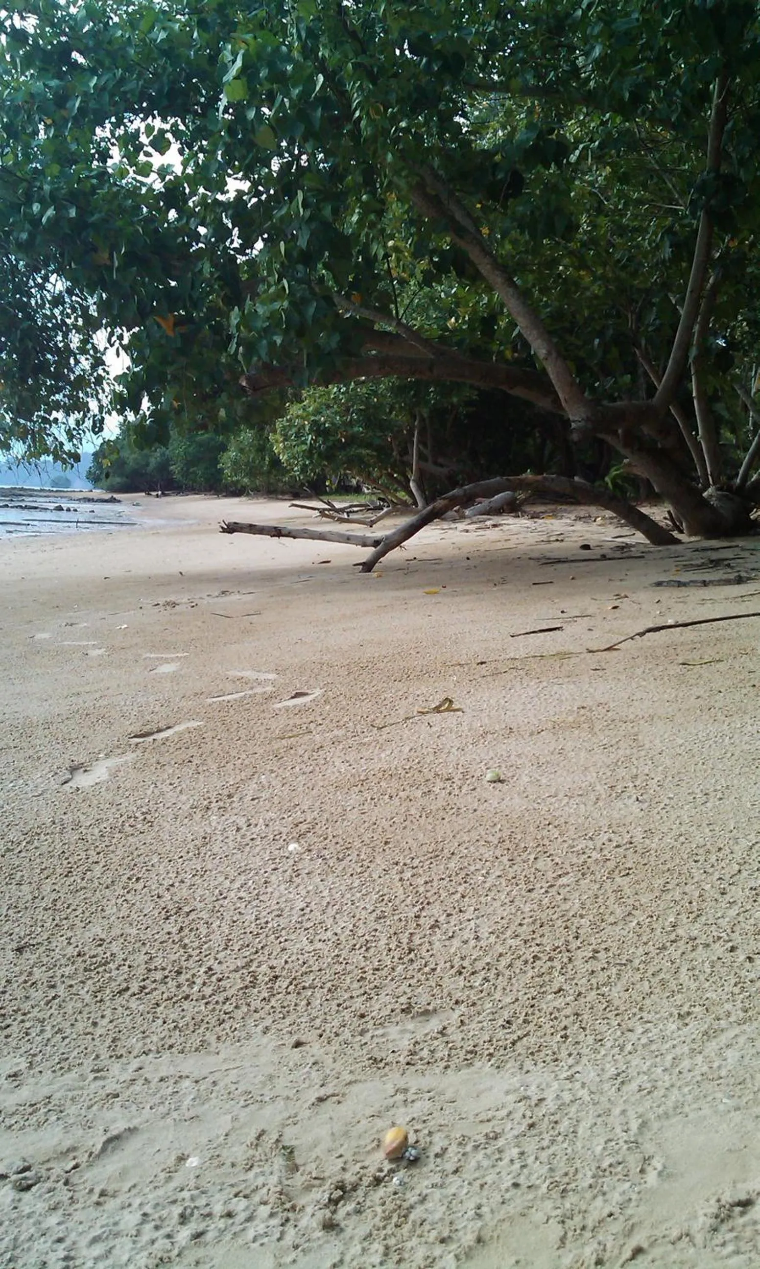 Beach in Melina Beach Front Bungalows