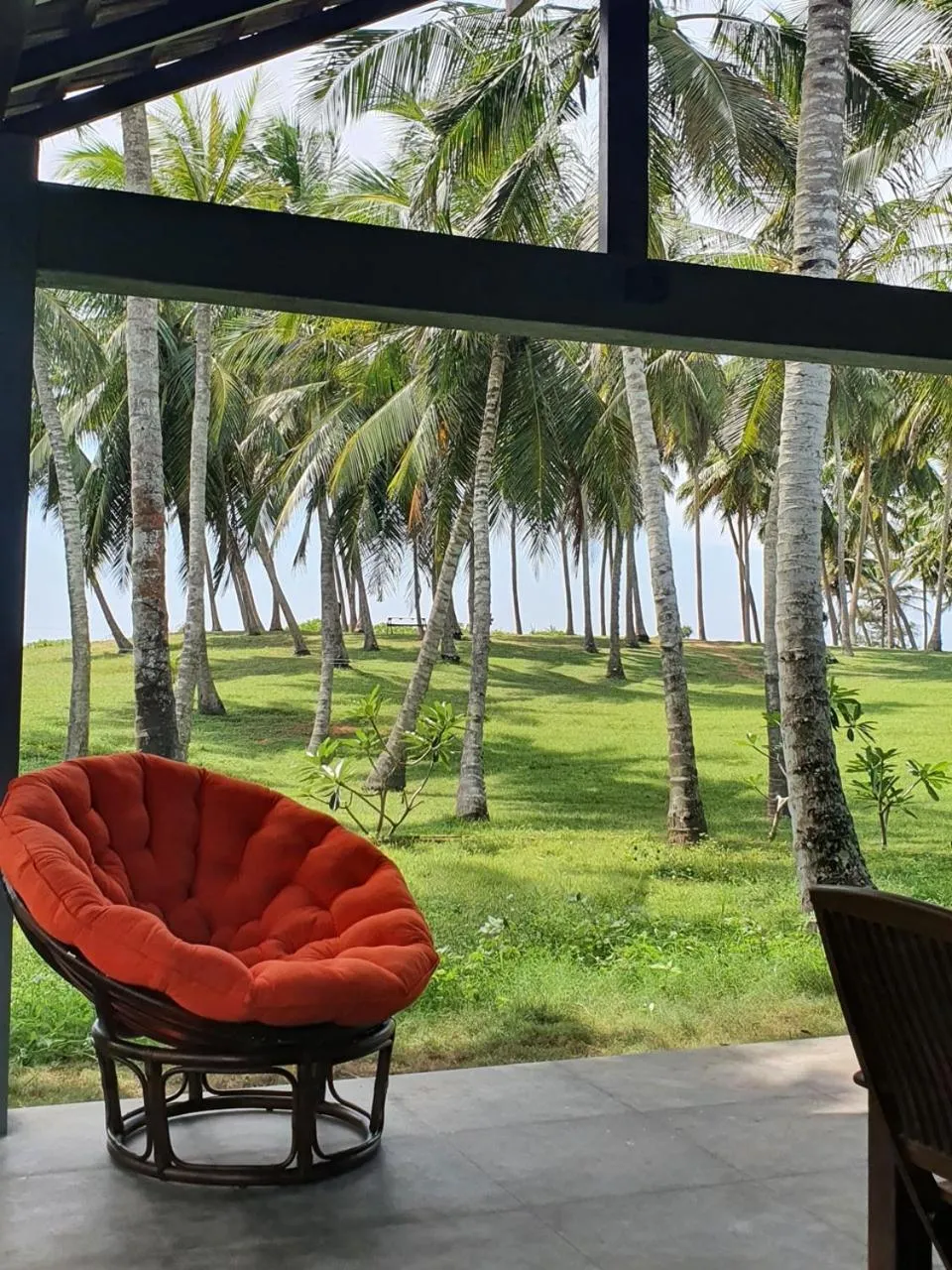 Patio in Ocean Cottage