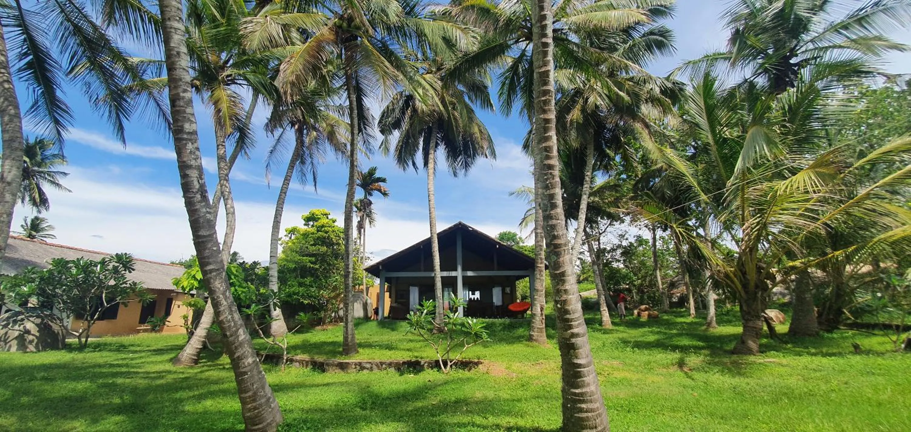 Natural landscape in Ocean Cottage