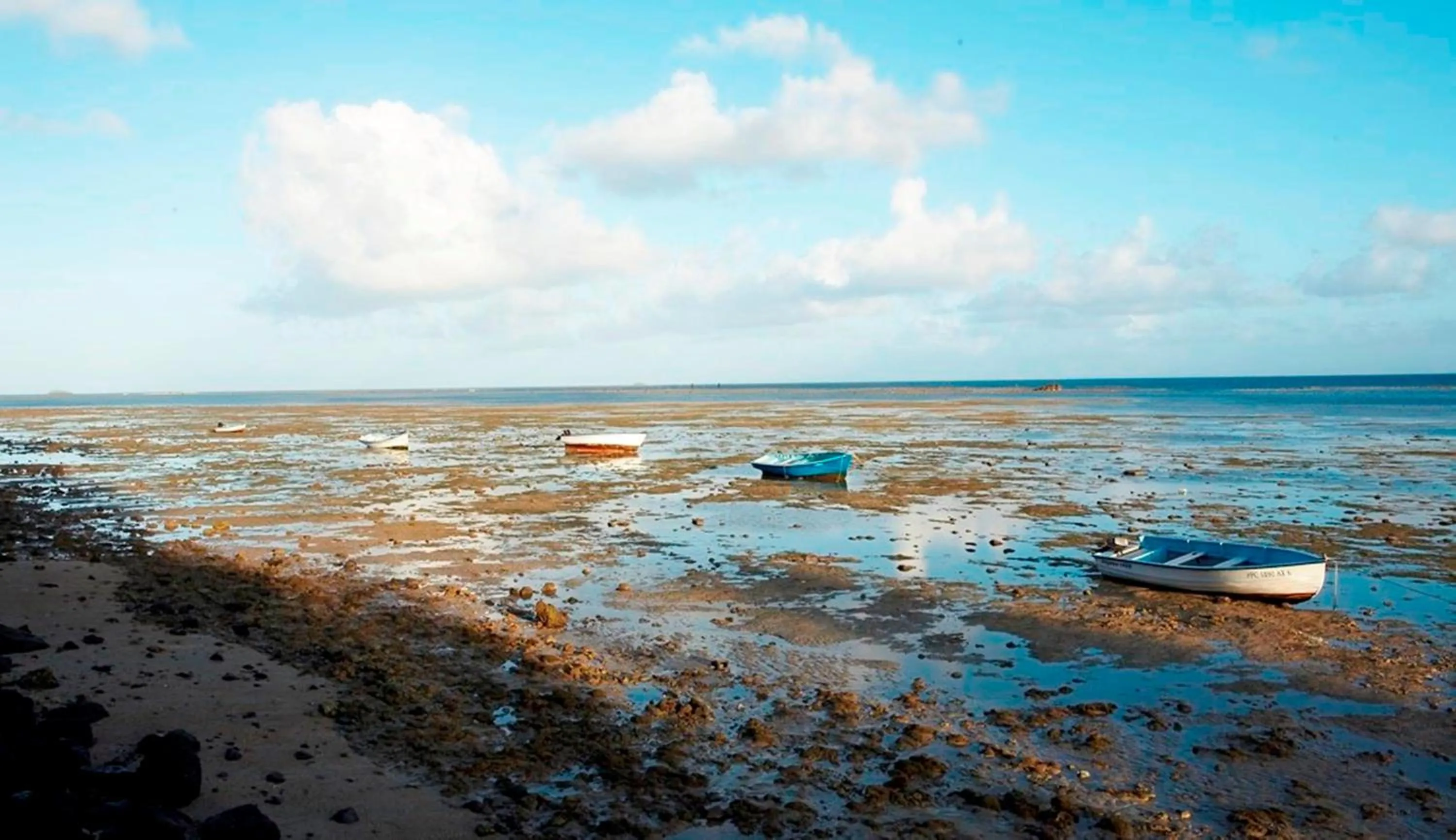 Beach in Cocotiers Hotel - Rodrigues