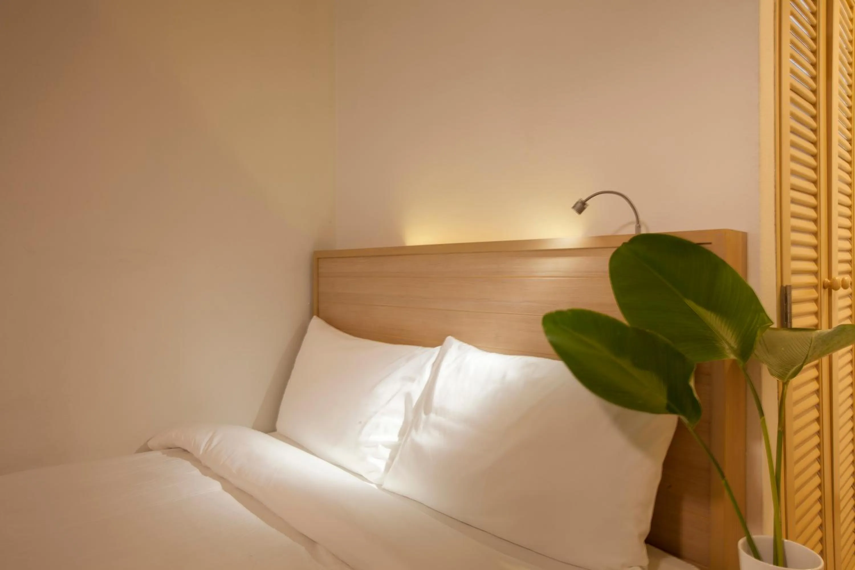 Bed in RCN Court & Inn