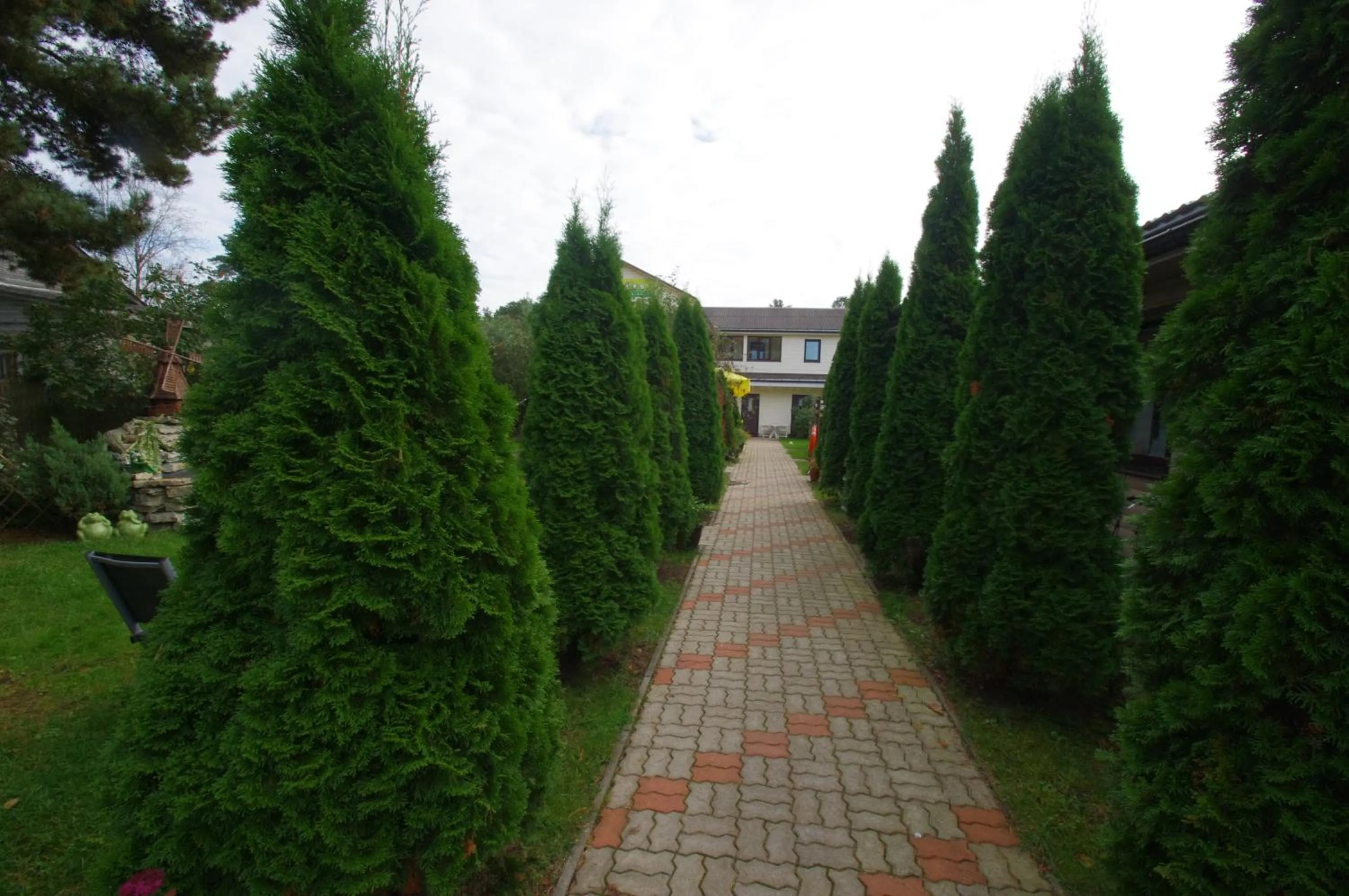 Natural landscape in Hotel Veagles