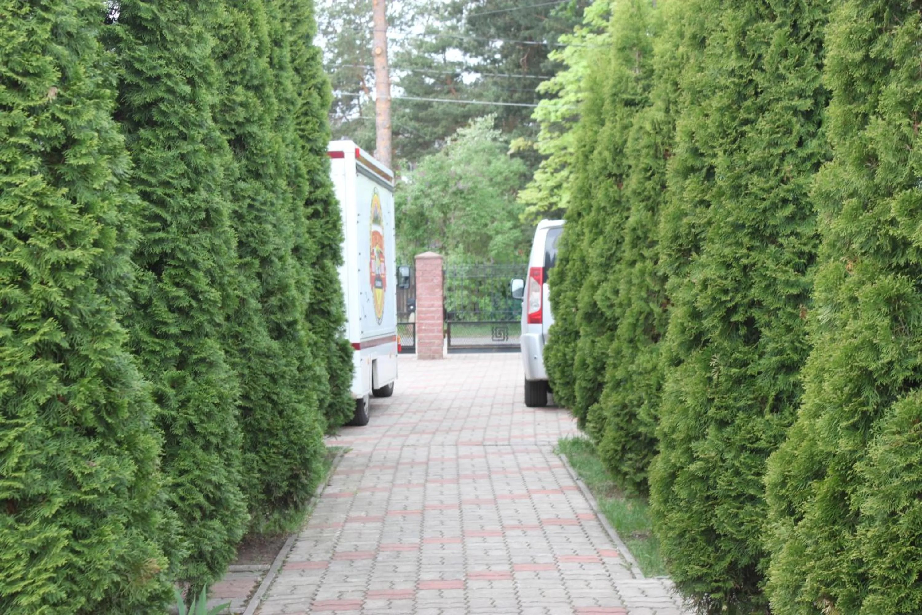 Garden in Hotel Veagles