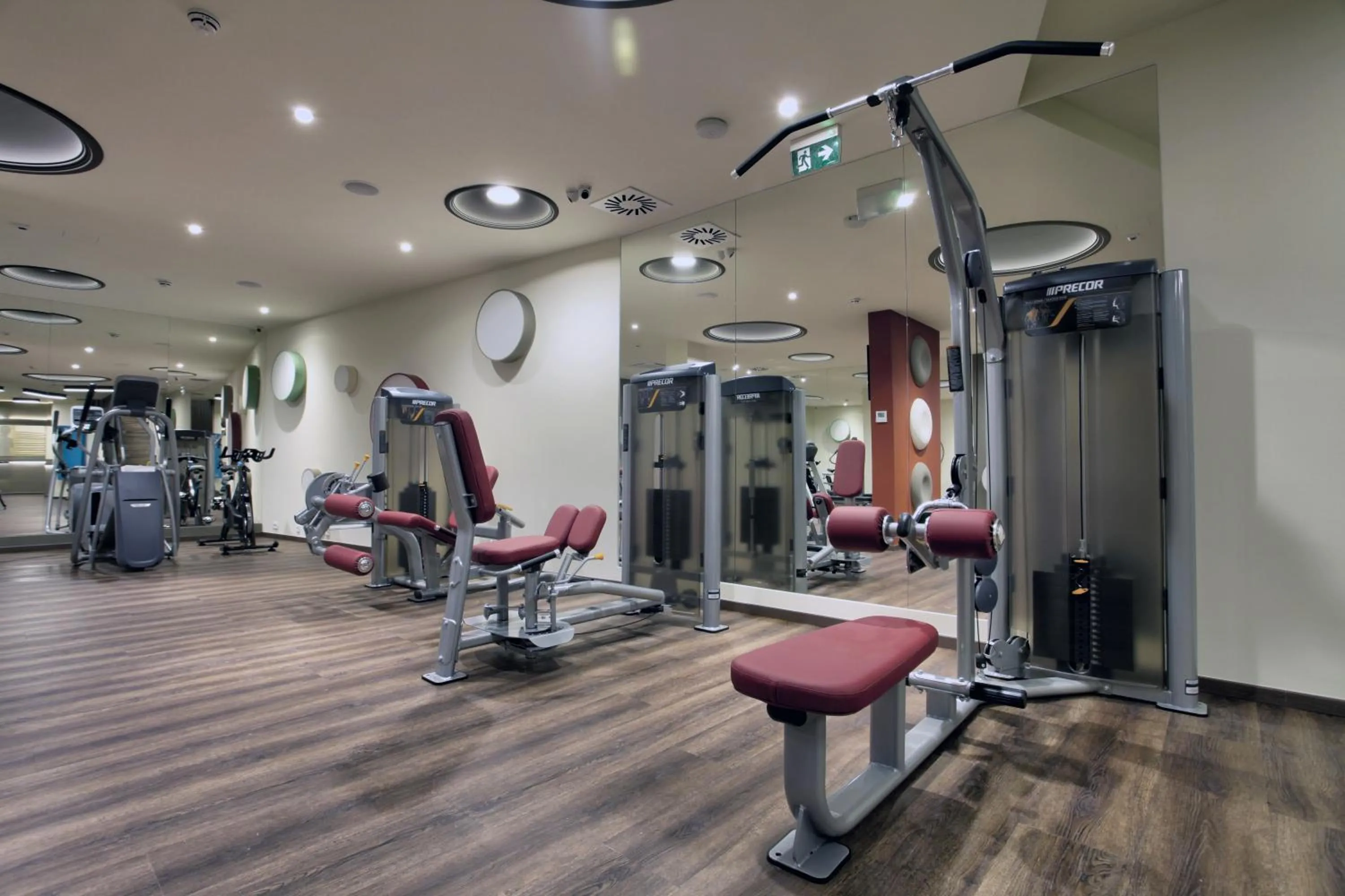 Fitness centre/facilities in Vip Casa Club Zlatibor