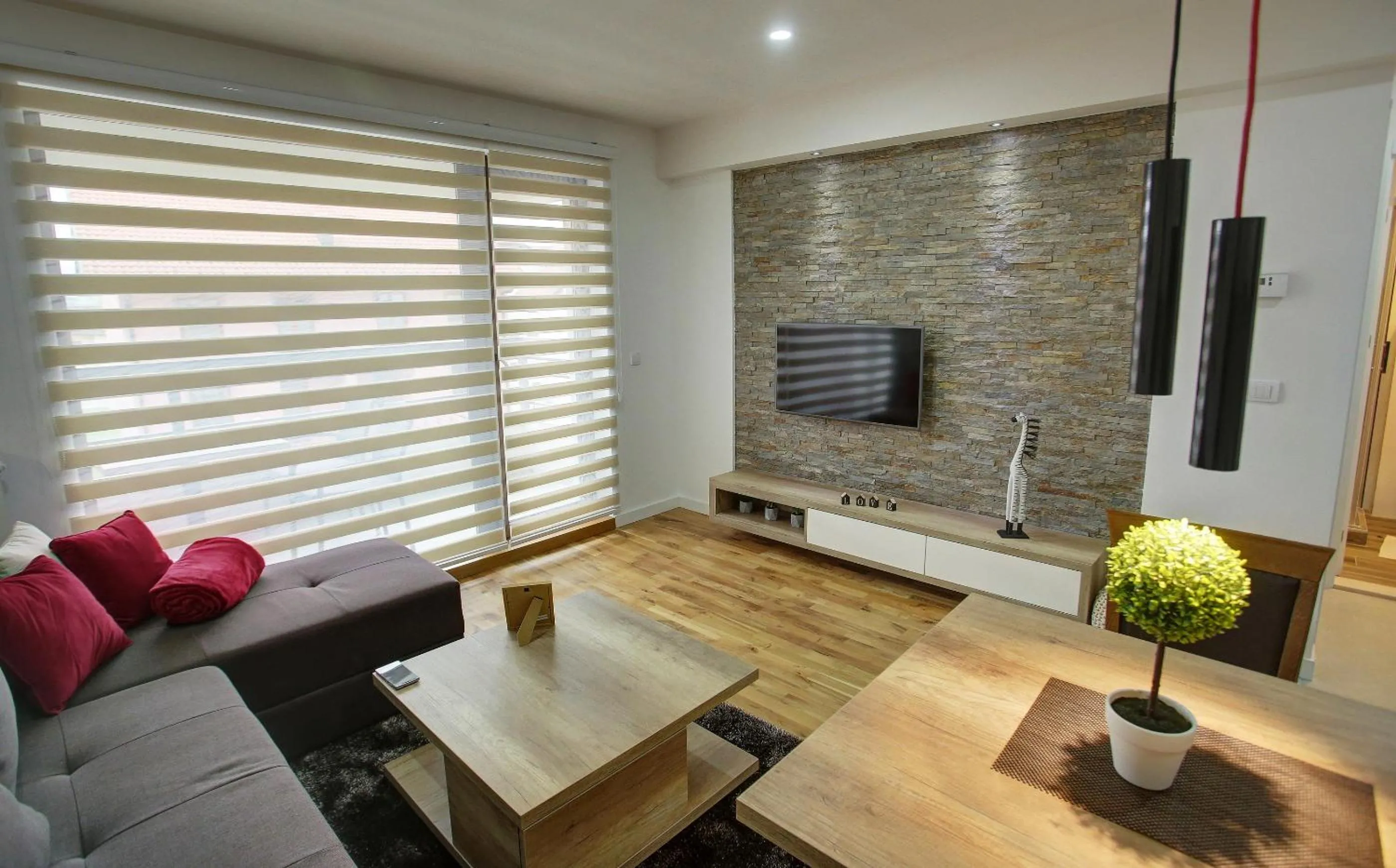 TV and multimedia in Vip Casa Club Zlatibor