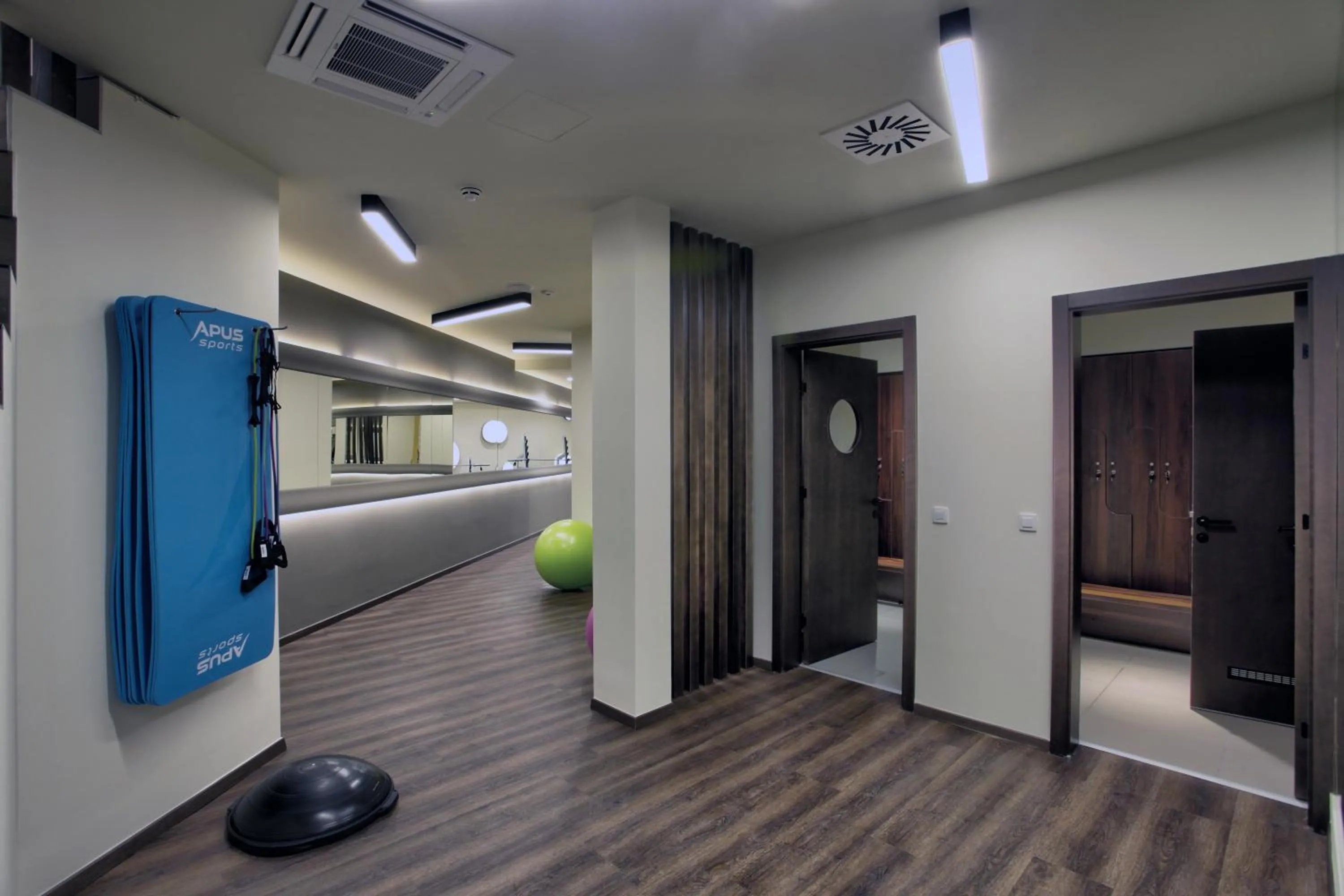 Fitness centre/facilities in Vip Casa Club Zlatibor