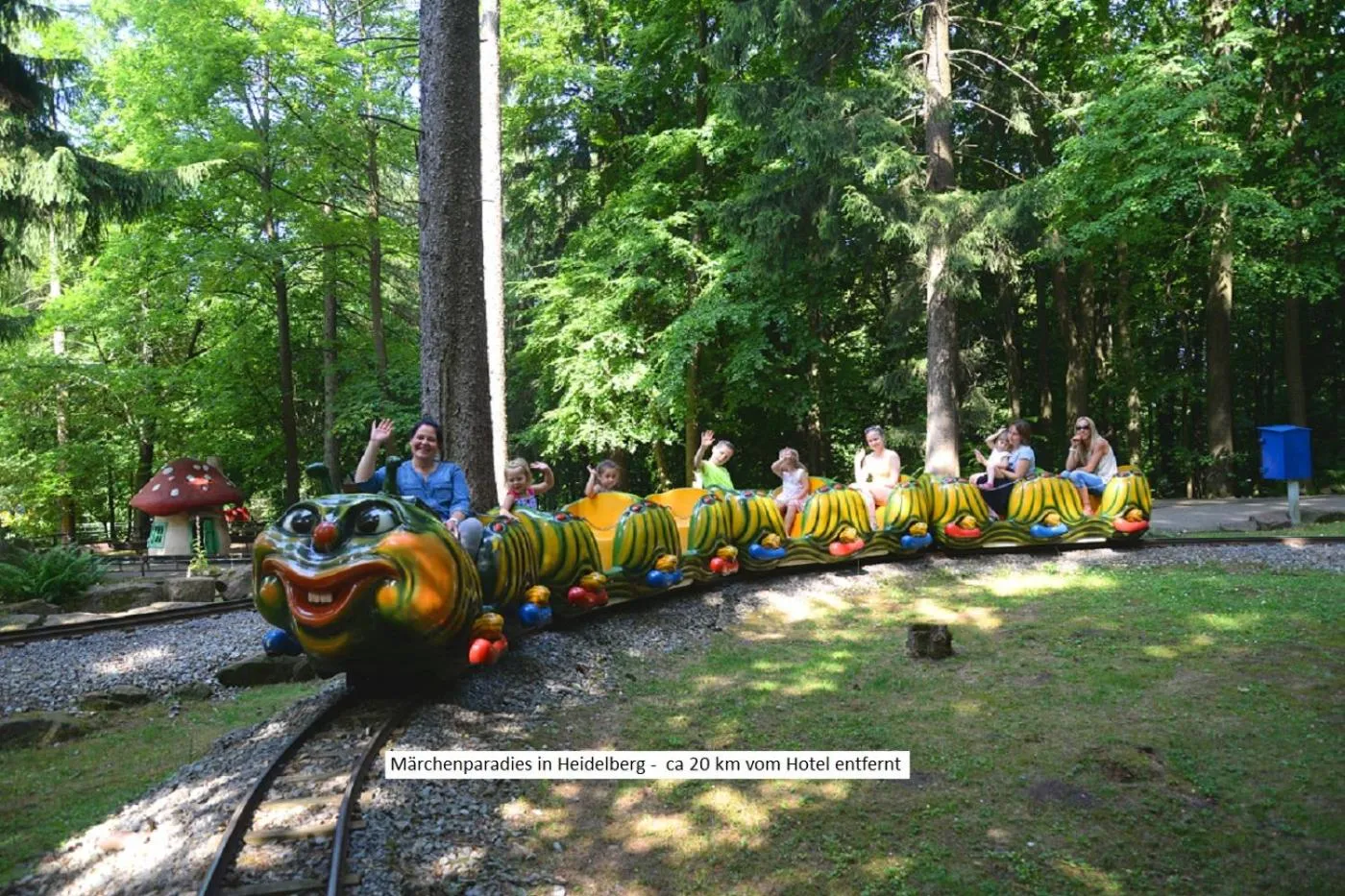 Activities in Hotel Häfner