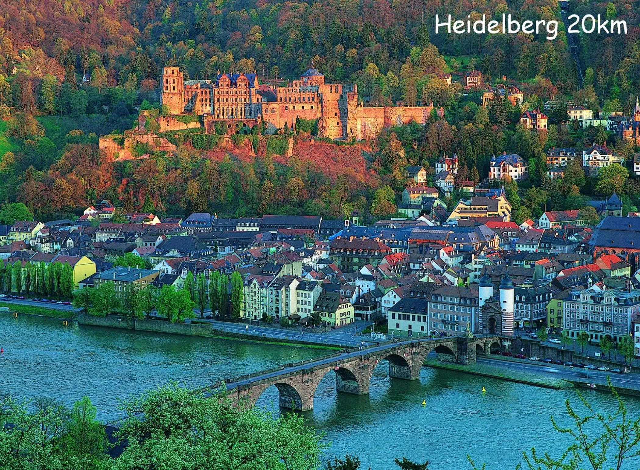 Activities in Hotel Häfner