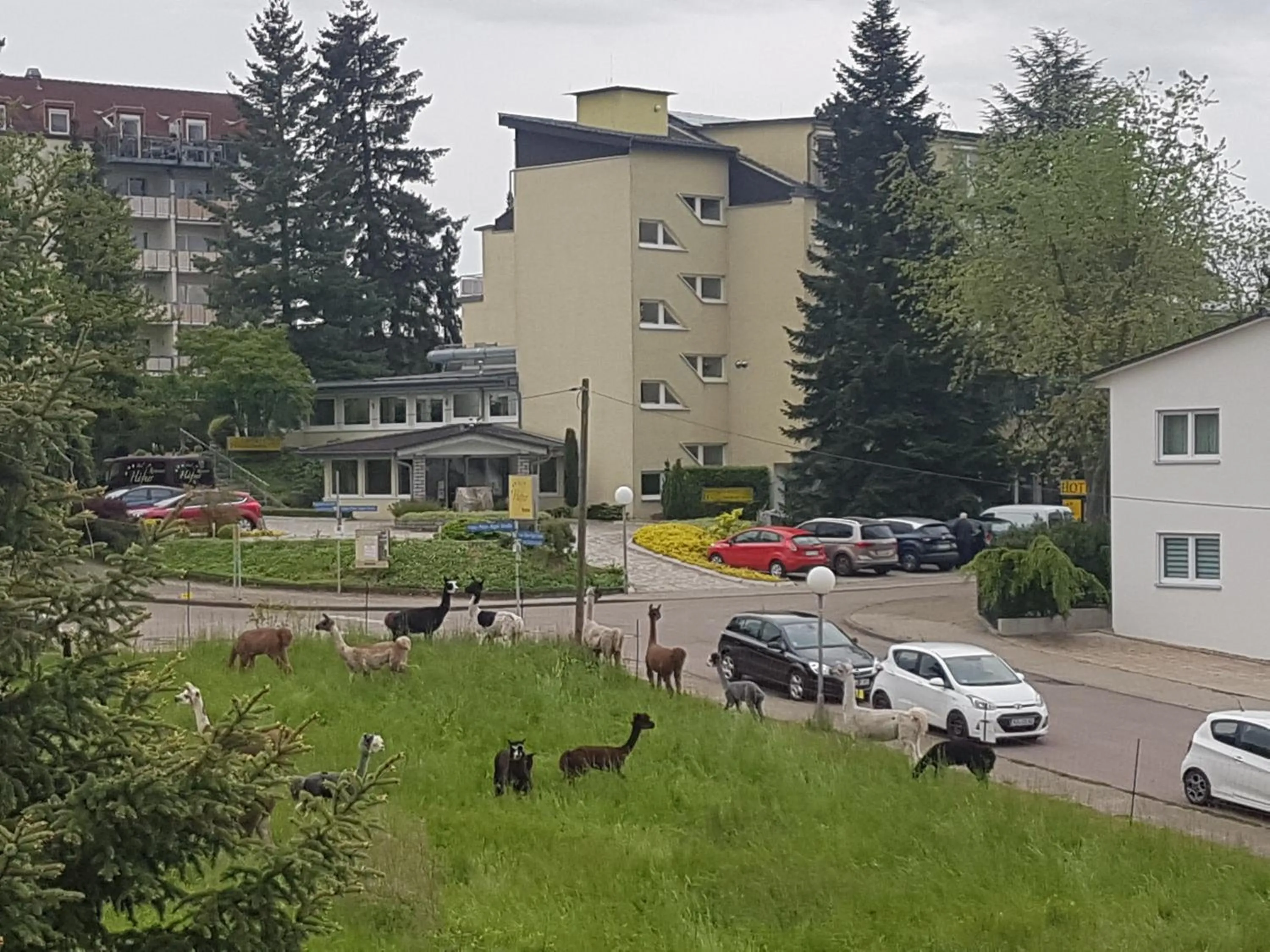 Property building in Hotel Häfner