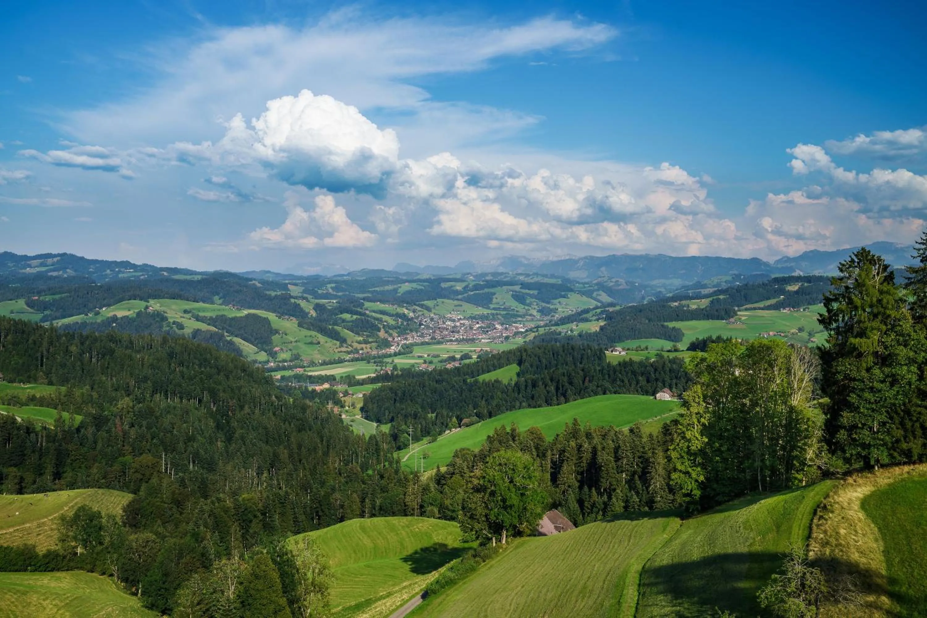 Natural landscape in Boutique Hotel Moosegg
