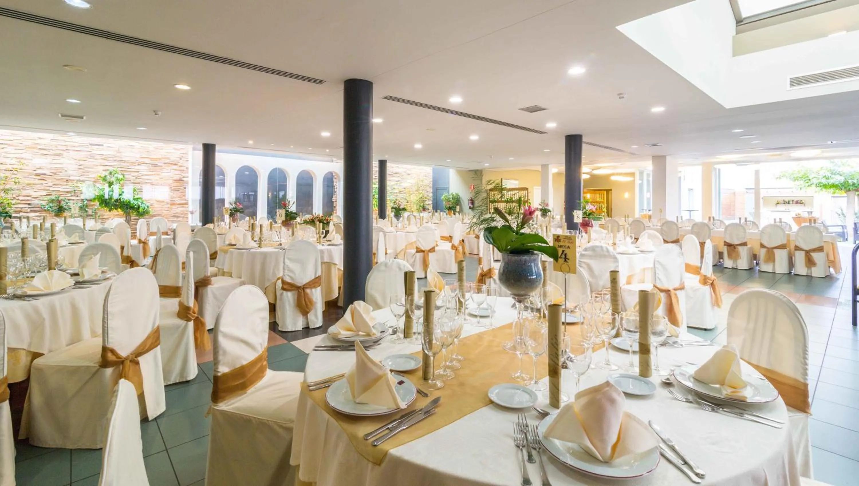 Restaurant/places to eat in El Patio