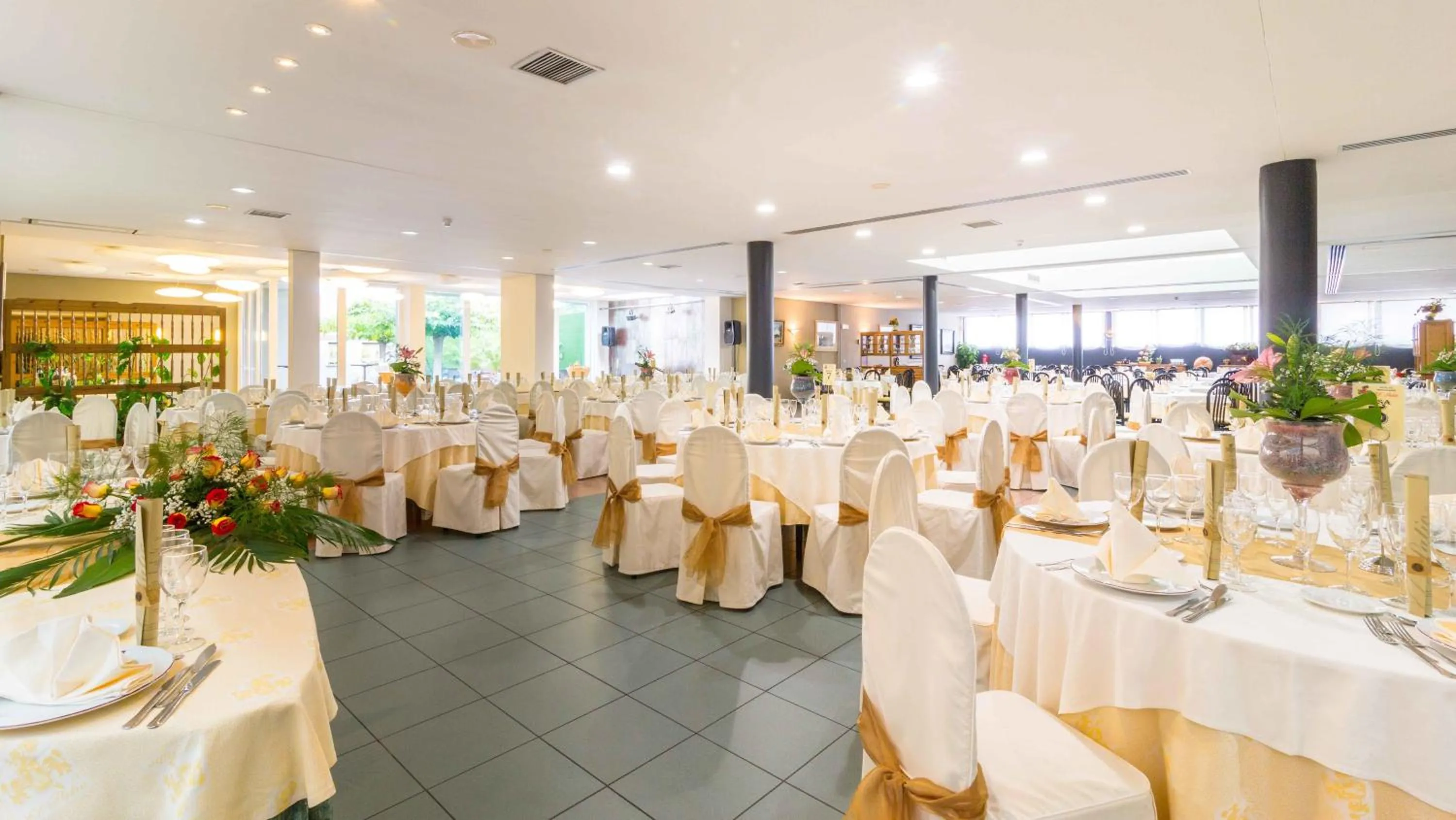 Restaurant/places to eat in El Patio