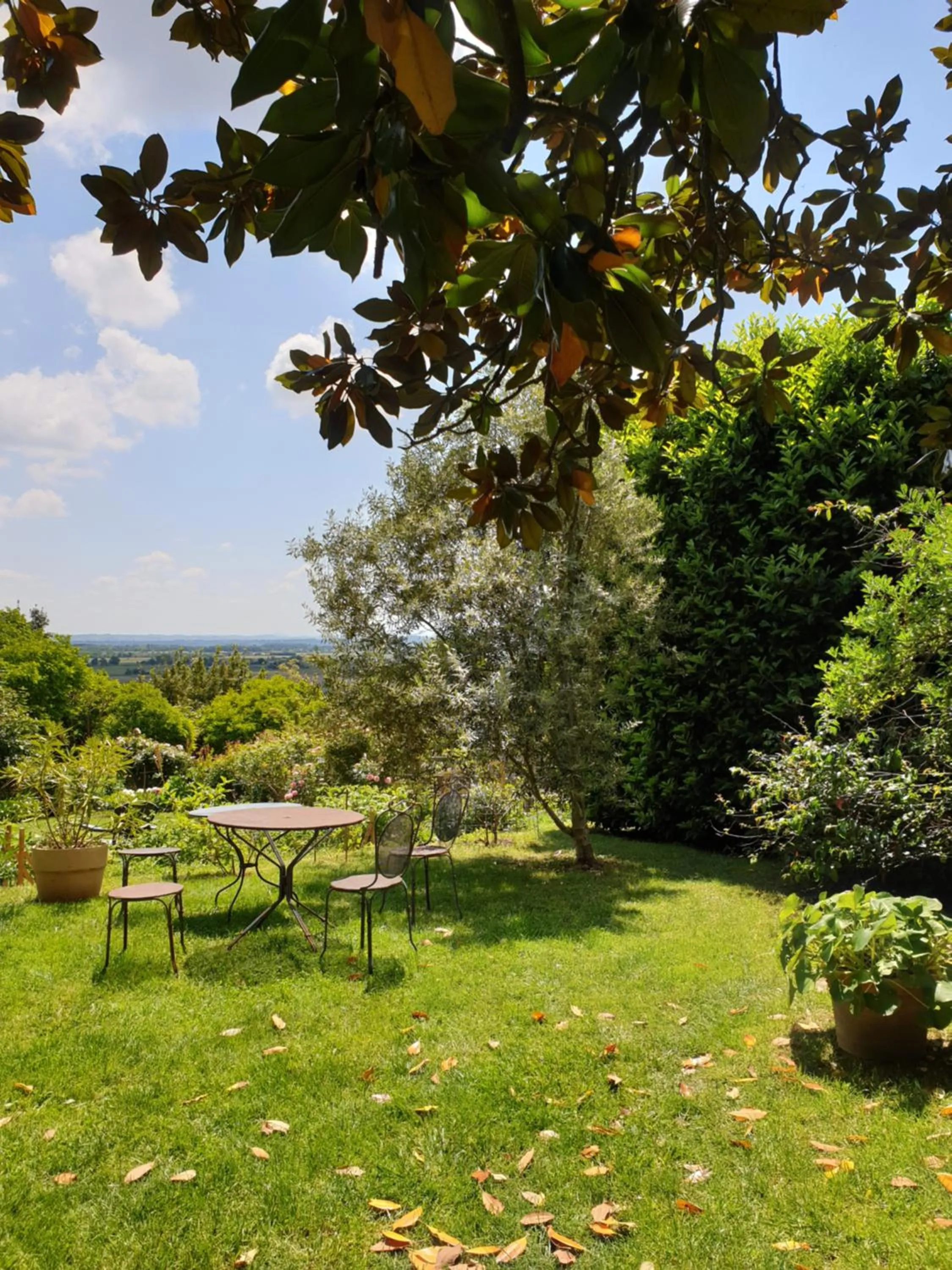 Garden in Ombre Rose