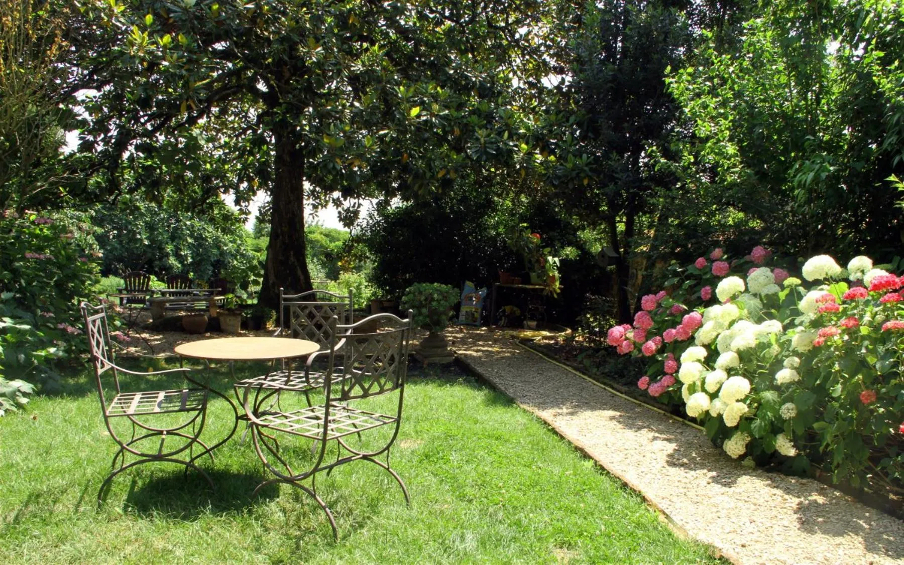 Garden in Ombre Rose