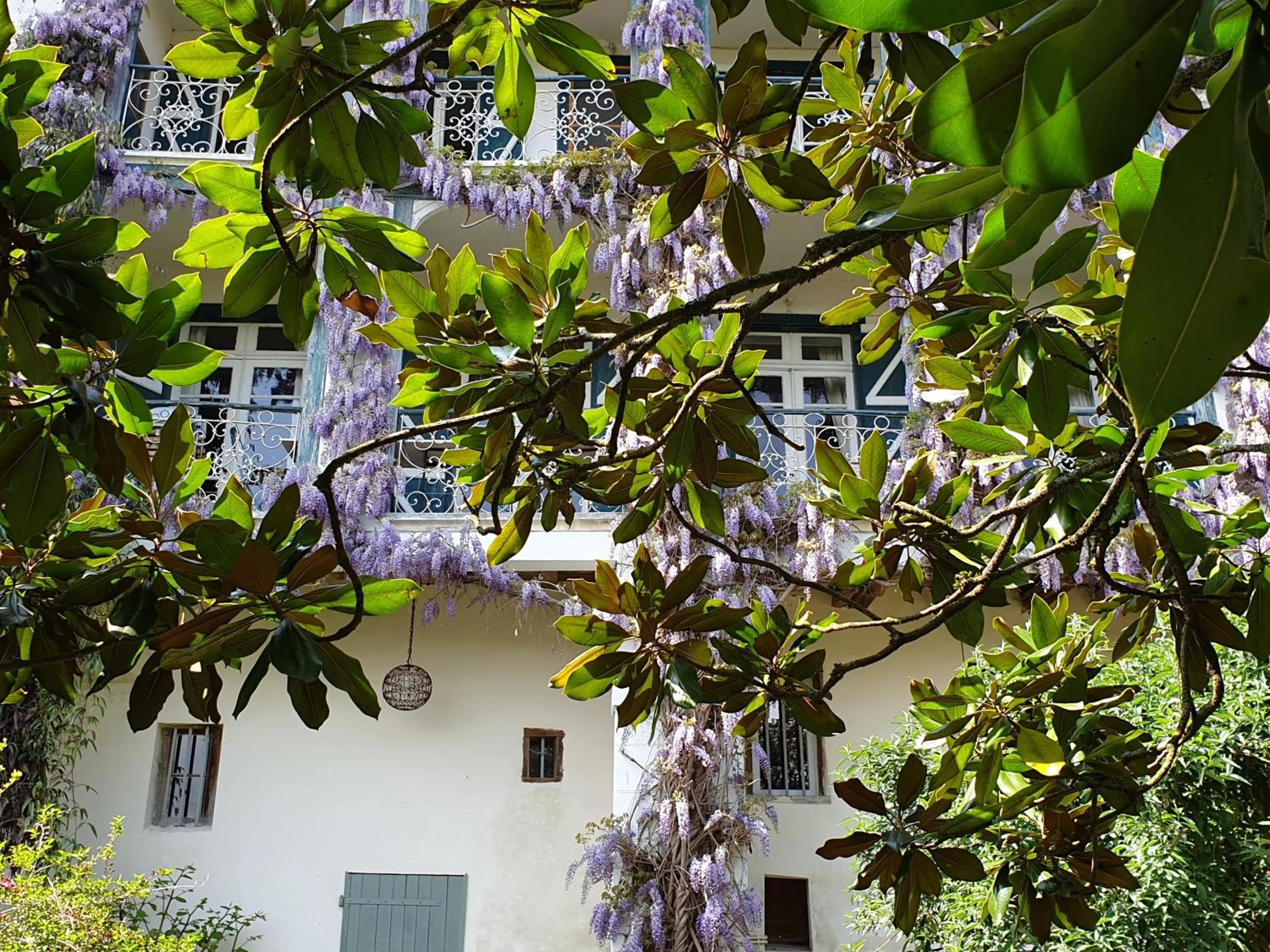 Garden in Ombre Rose